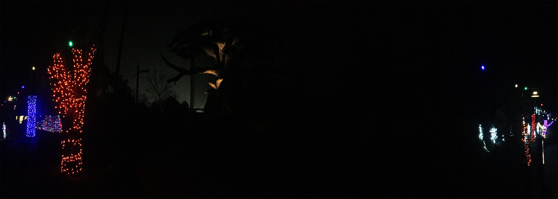 Zoo Lights African Forest