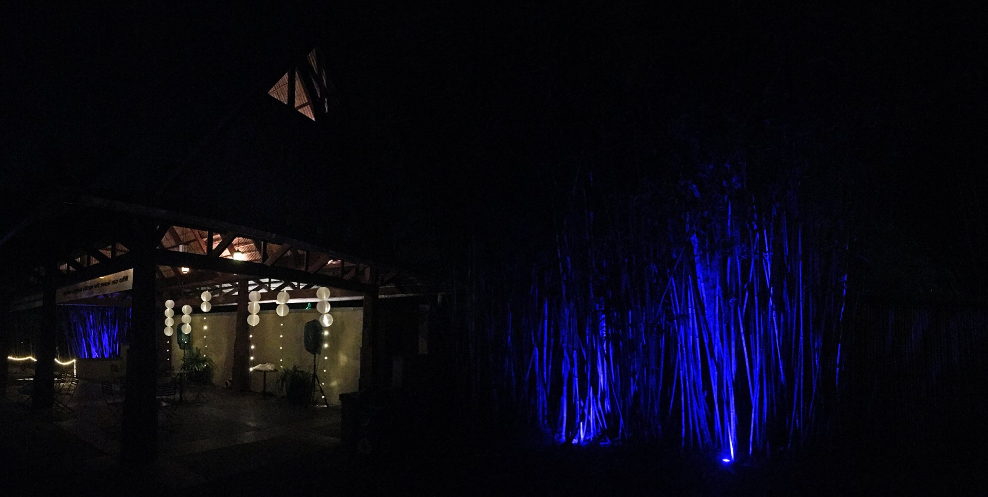 Zoo Lights Asian Bamboo Garden Pavilion