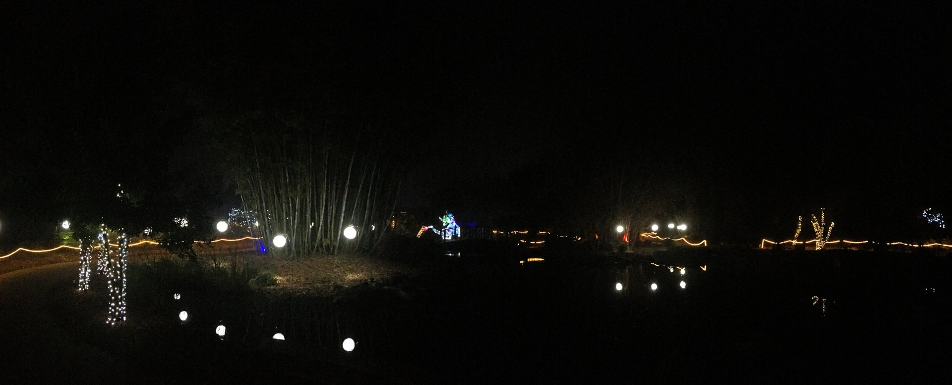 Zoo Lights Asian Bamboo Garden