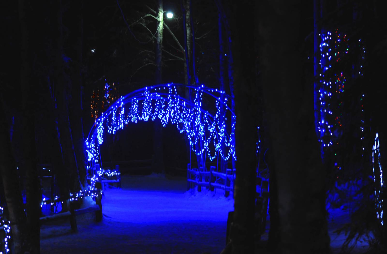 Zoo Lights at the Alaska Zoo.