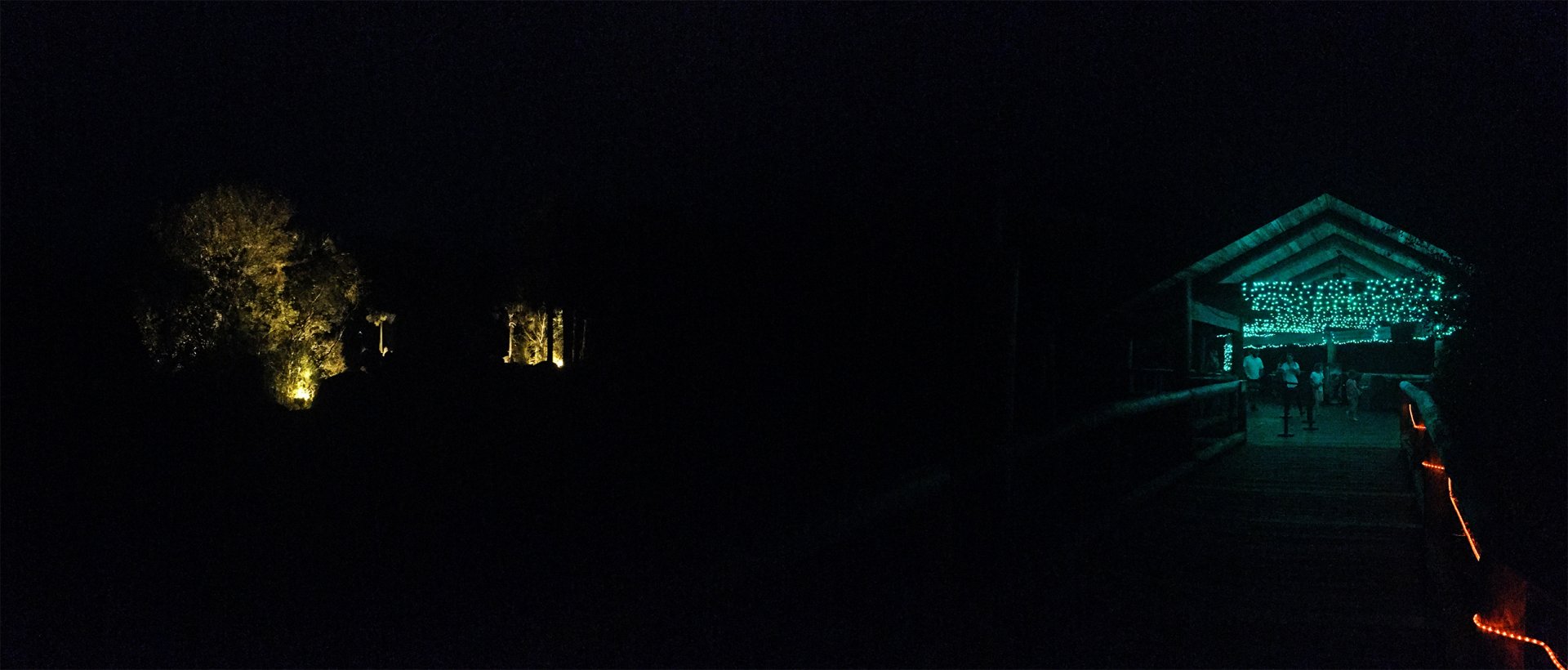 Zoo Lights Giraffe Exhibit