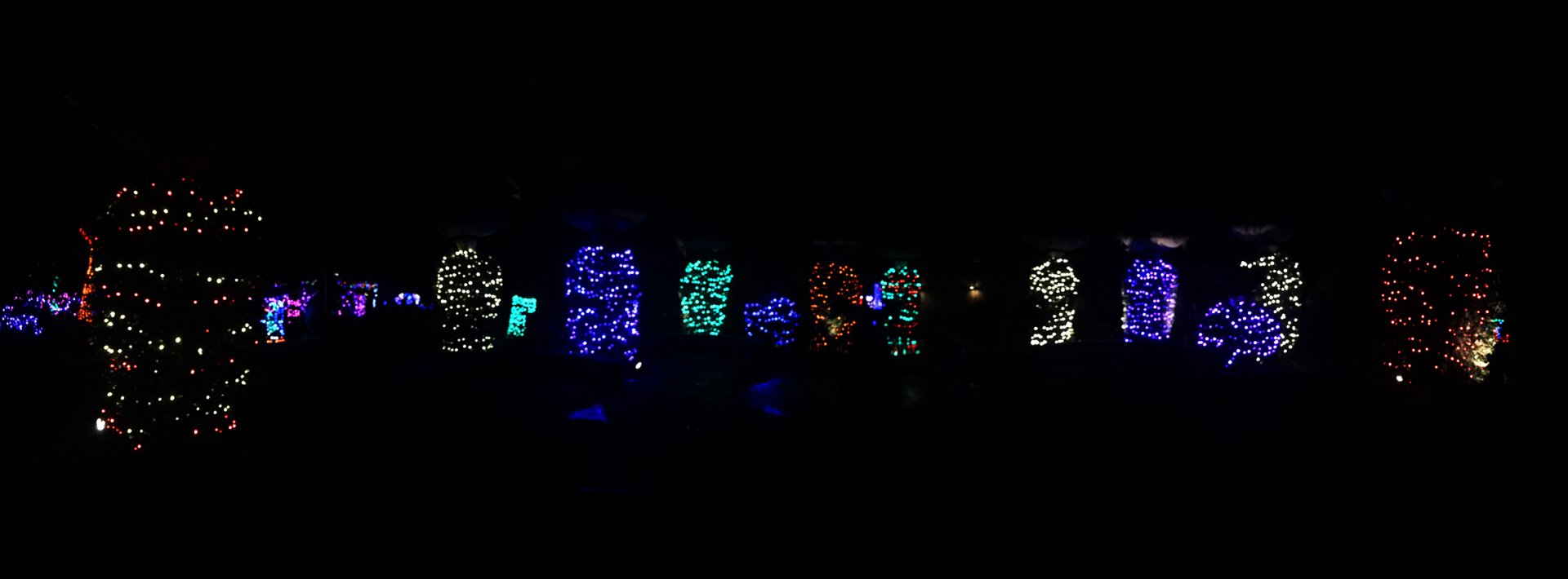 Zoo Lights Trout River Plaza