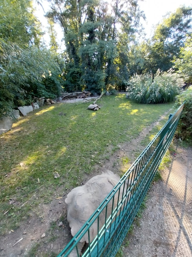Zoo Linz - African spurred tortoise enclosure