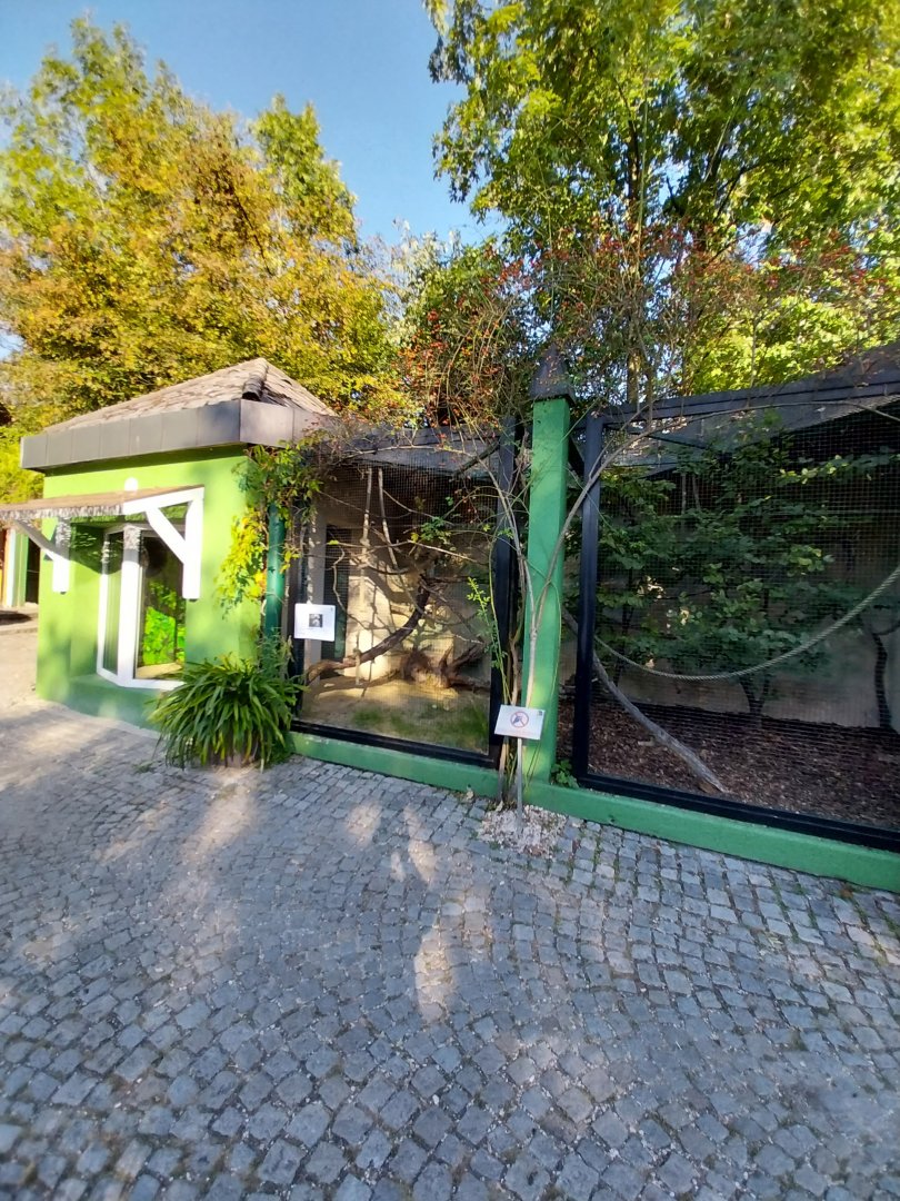 Zoo Linz - Cotton-top tamarin enclosure