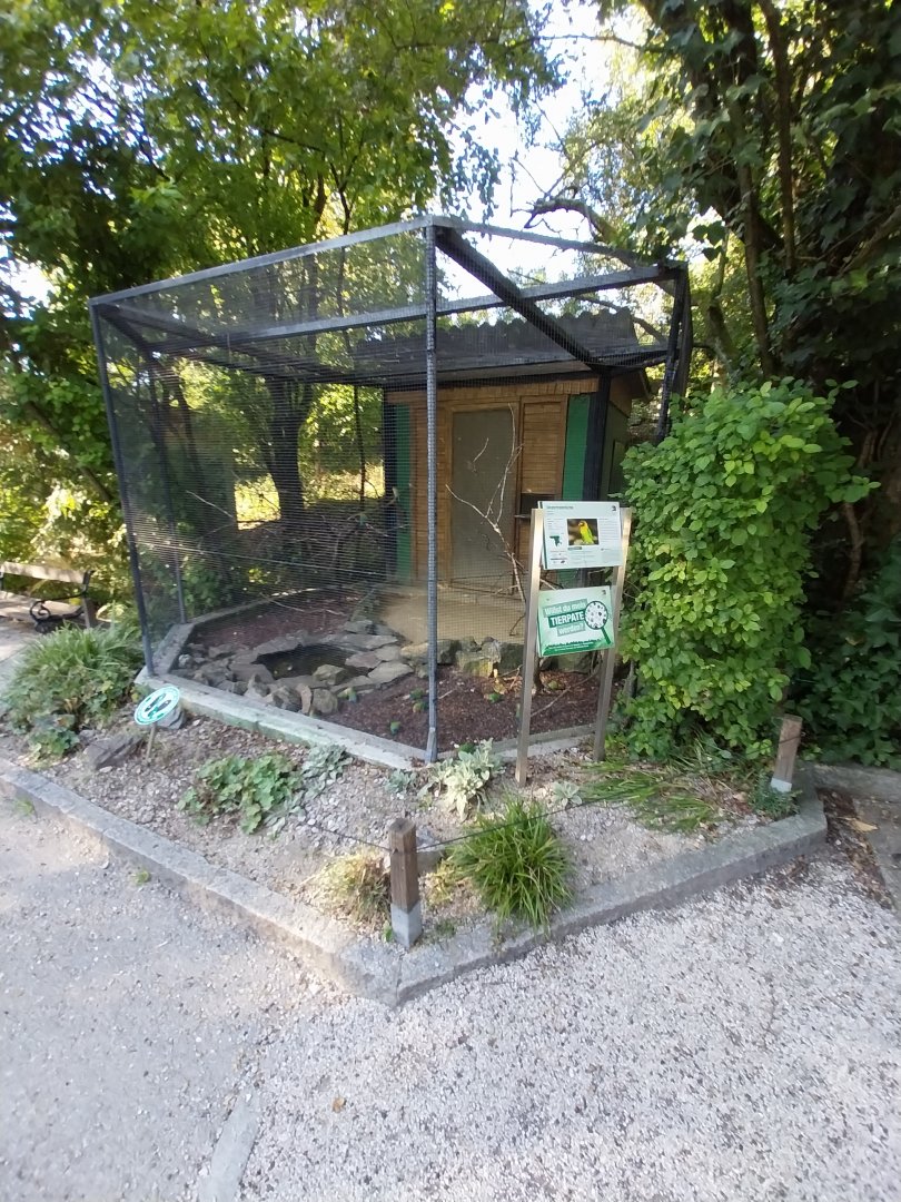 Zoo Linz - Fishers lovebird aviary