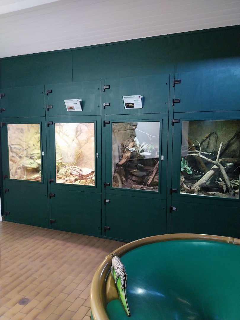 Zoo Linz - Haus der Artenvielfalt - Second floor general view