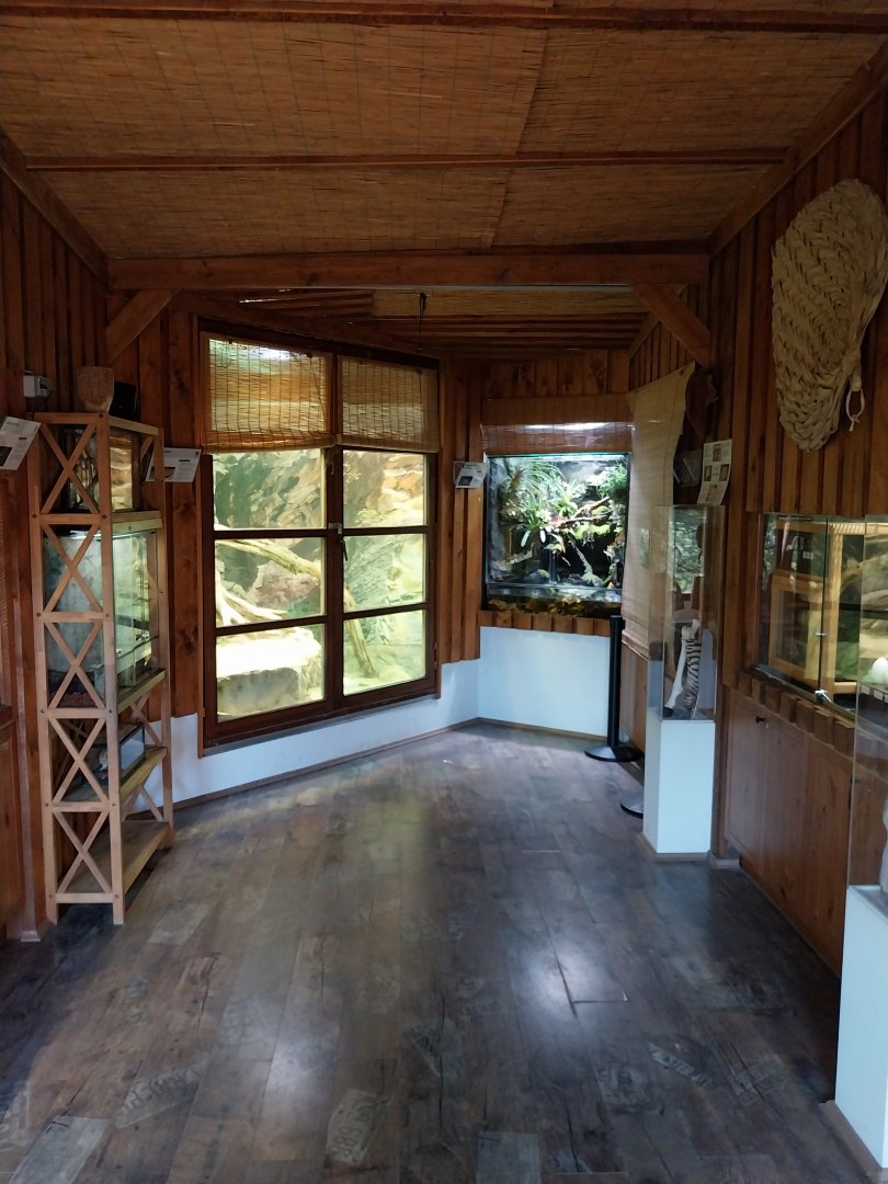 Zoo Linz - Haus der Artenvielfalt - Second floor, zoo school