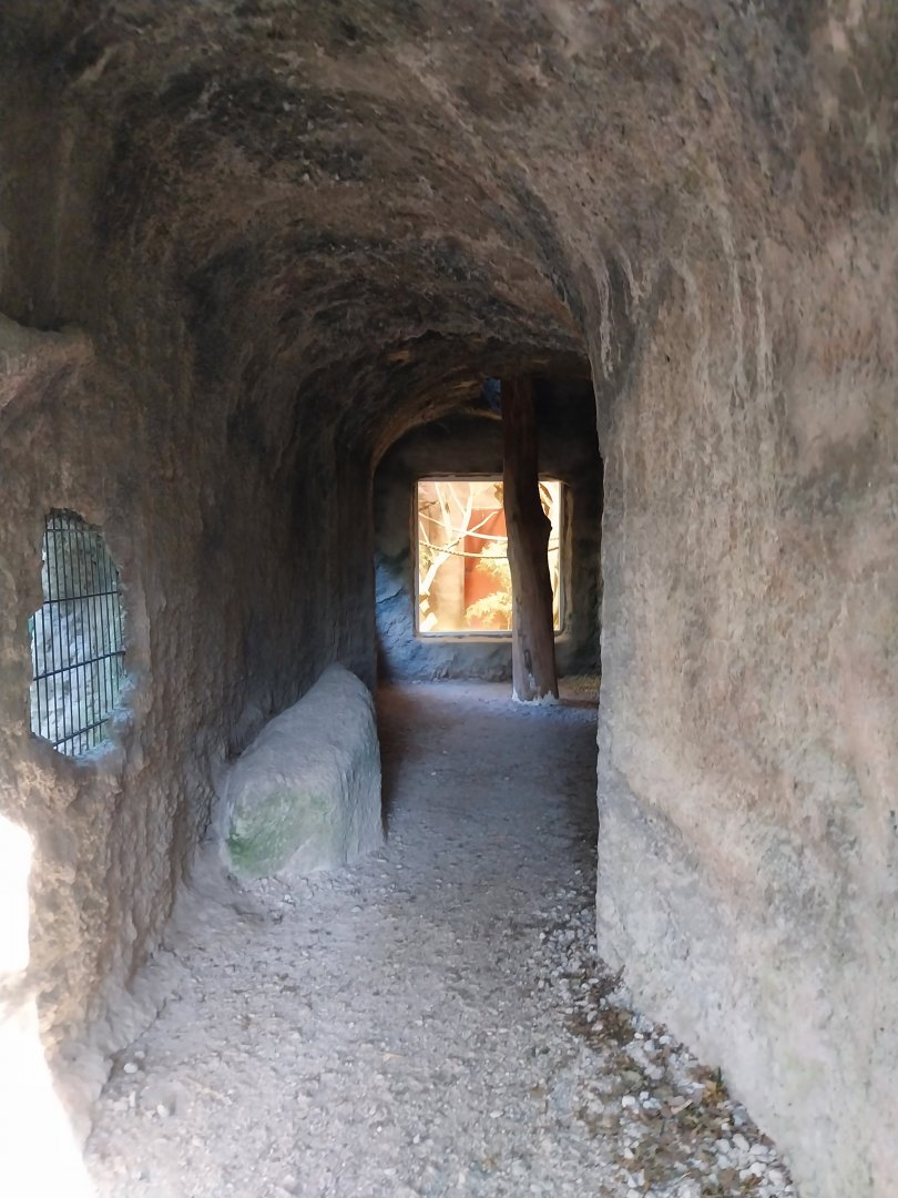 Zoo Linz - Katta cave