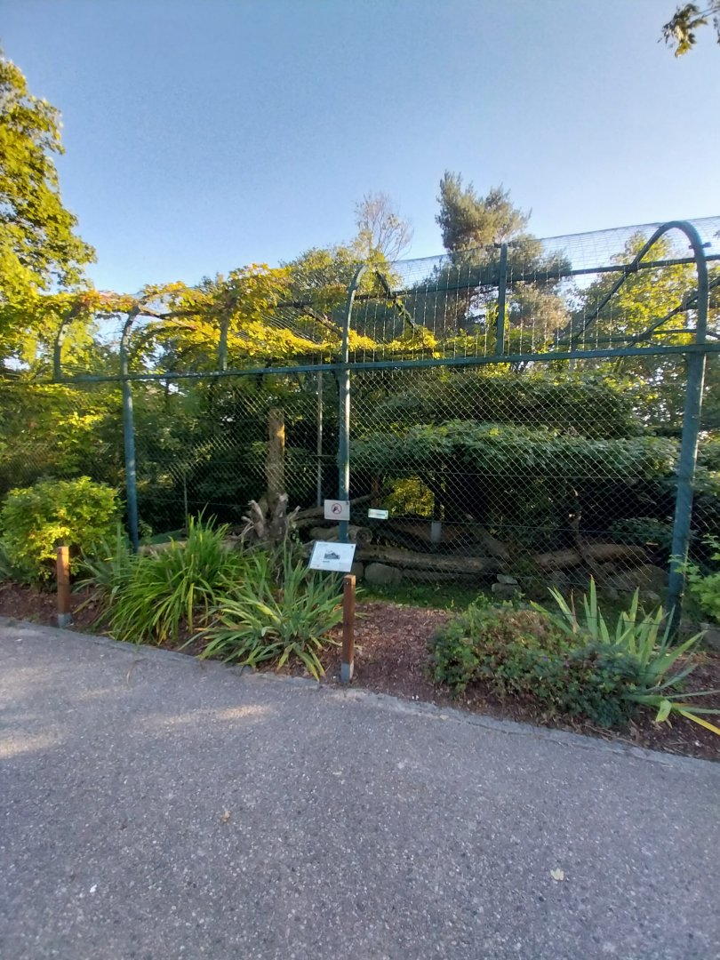 Zoo Linz - Nepalese red panda enclosure