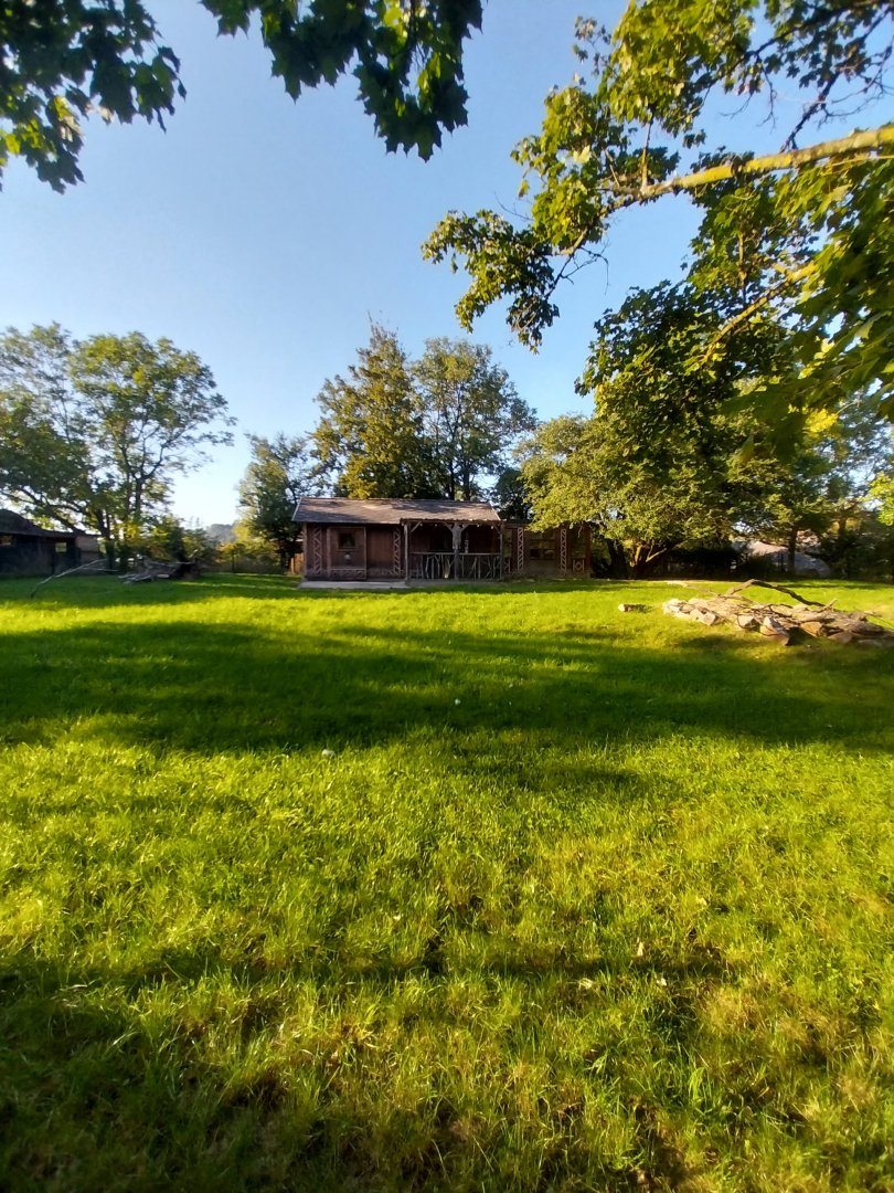 Zoo Linz - Nyala enclosure