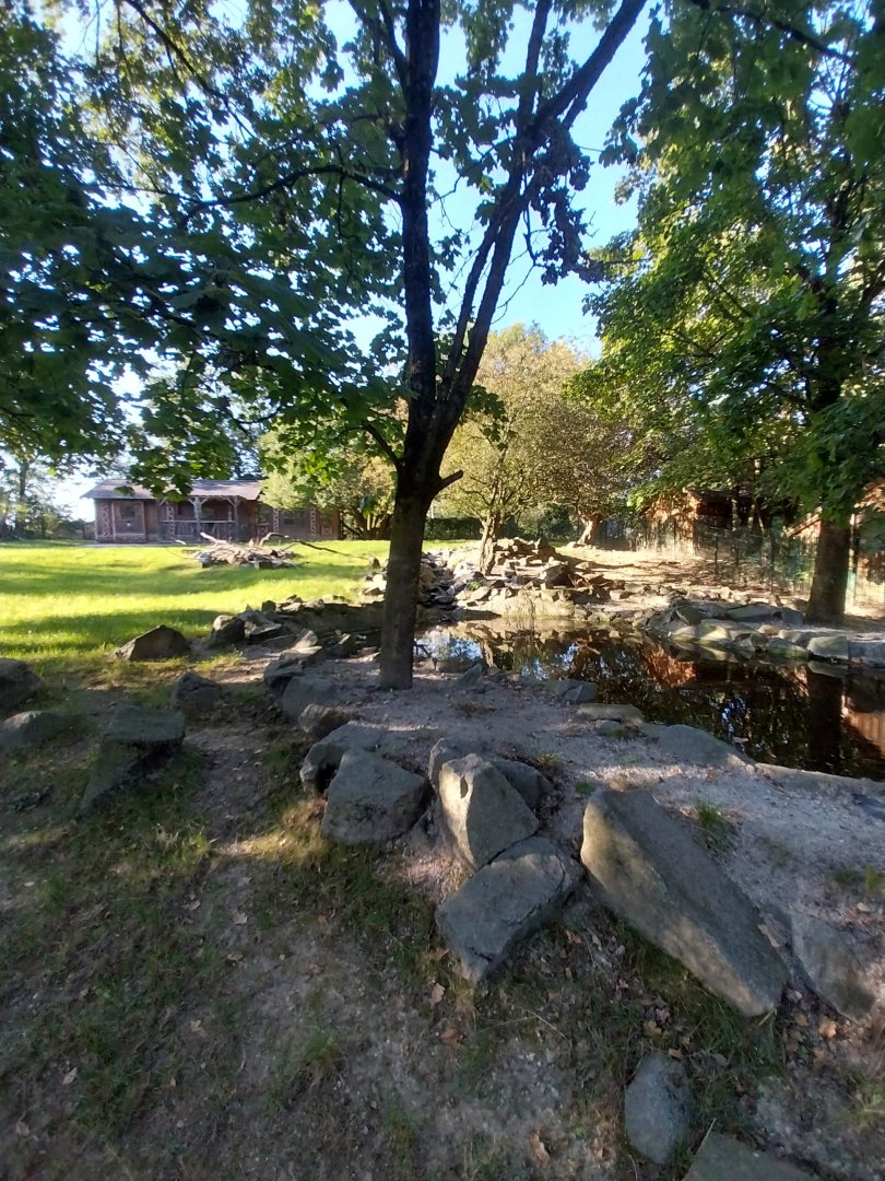 Zoo Linz - Nyala enclosure