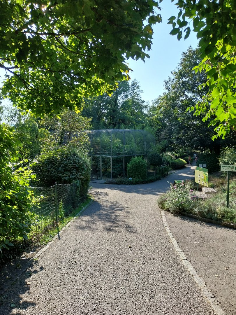 Zoo Linz - Parrot aviaries
