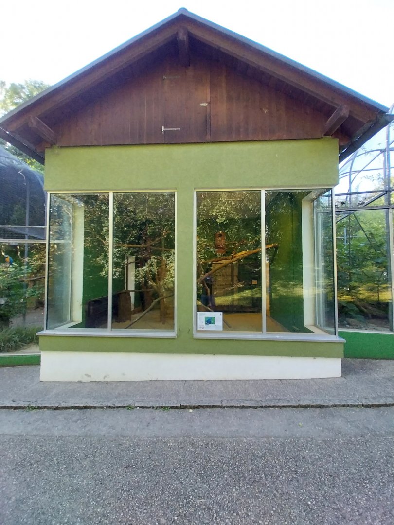 Zoo Linz - Parrot house