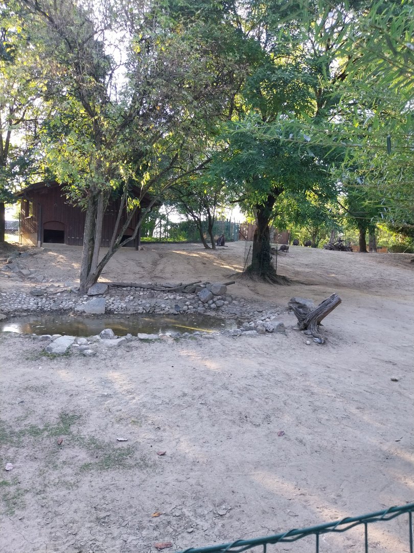 Zoo Linz - Red-necked wallaby enclosure