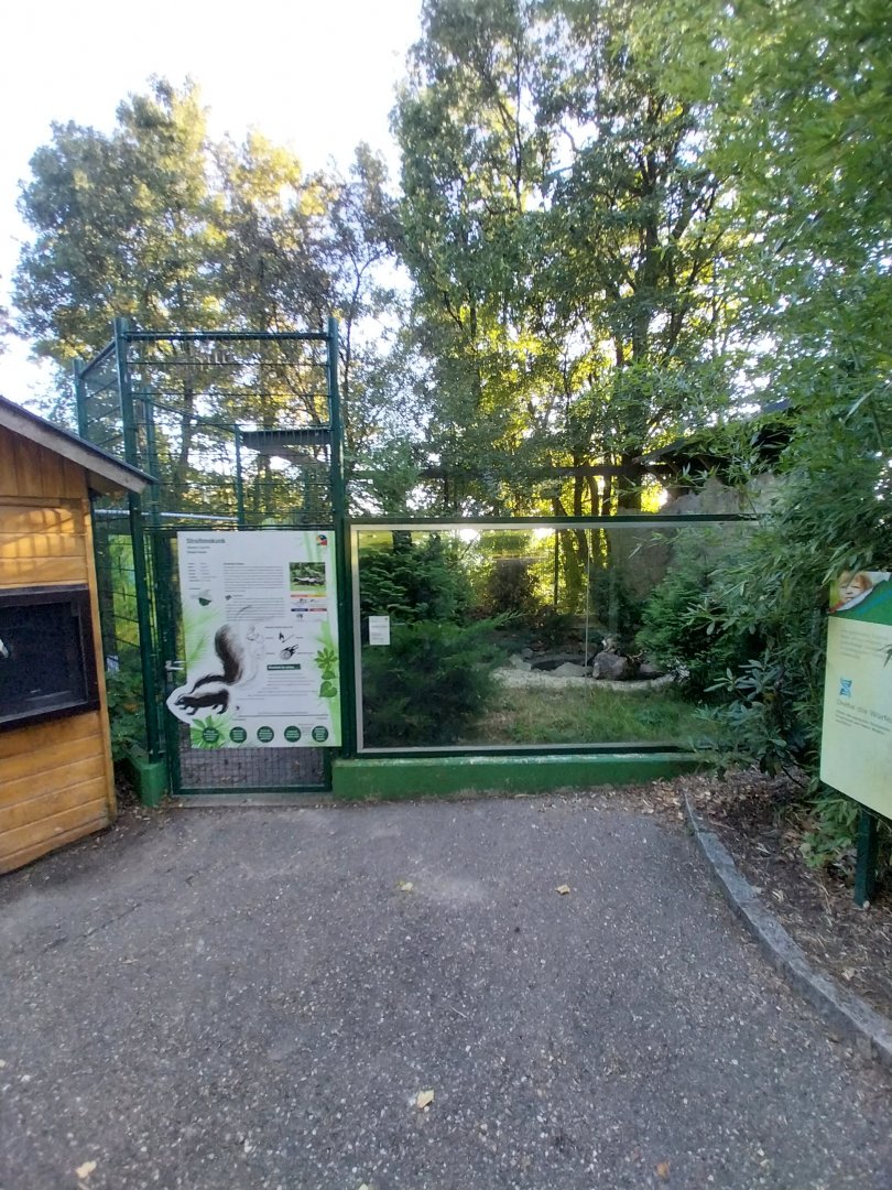 Zoo Linz - Striped skunk enclosure