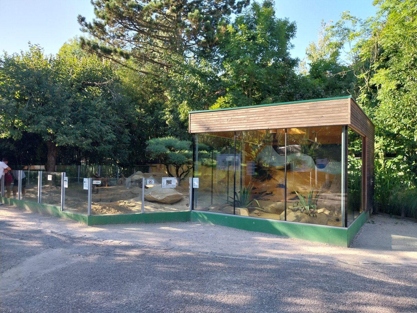 Zoo Linz - Suricate enclosure