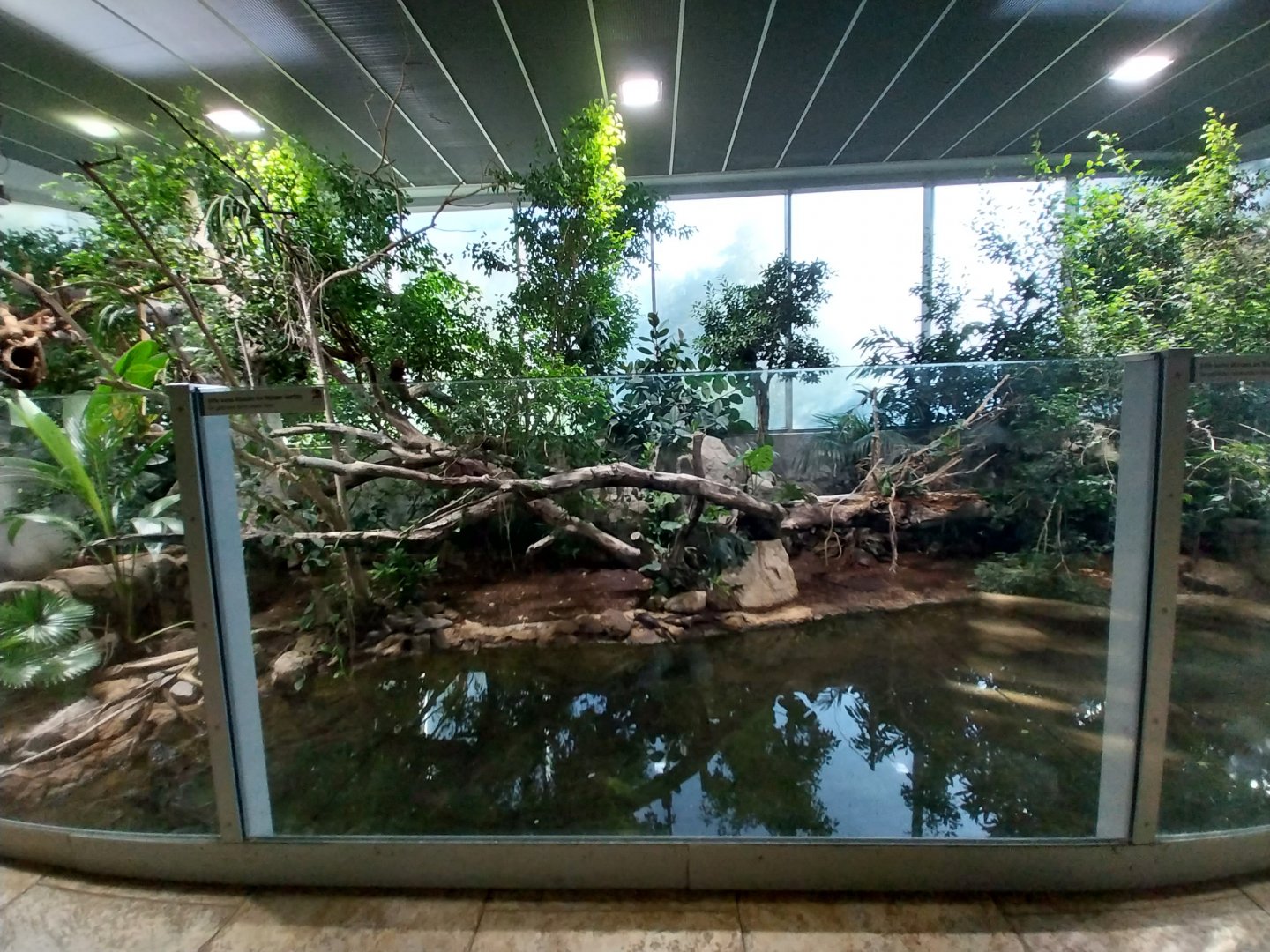 Zoo Linz - Tropenhaus - Main enclosure