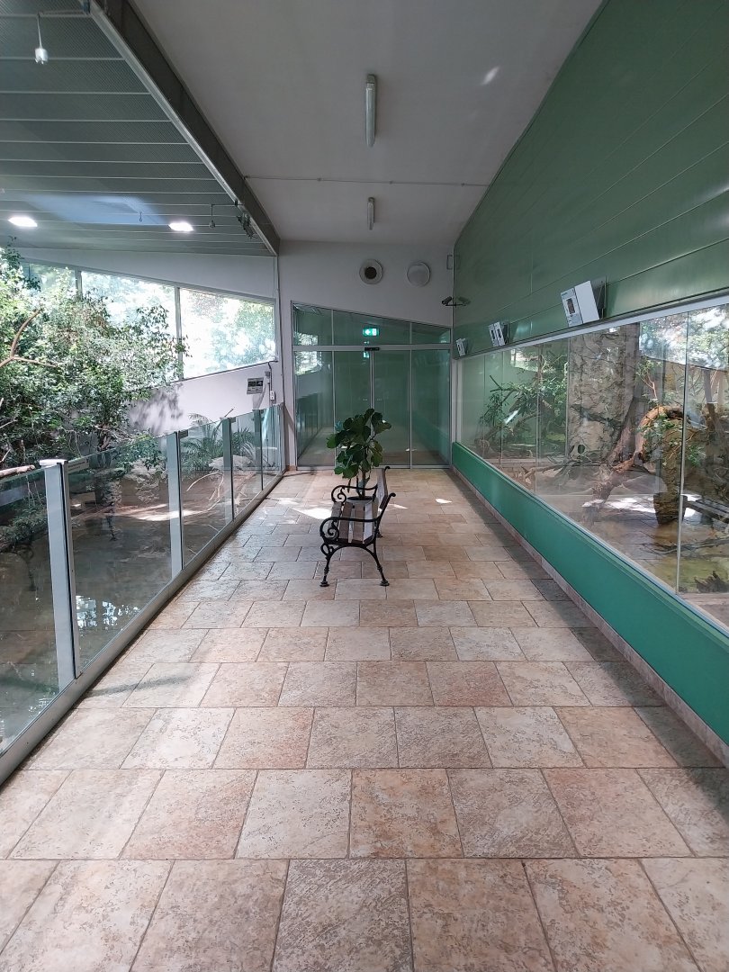 Zoo Linz - Tropenhaus - Visitor area