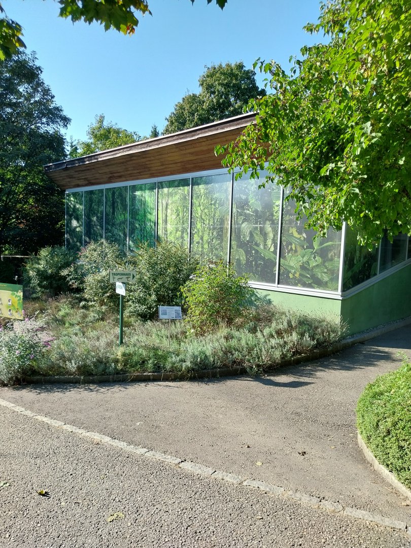 Zoo Linz - Tropenhaus