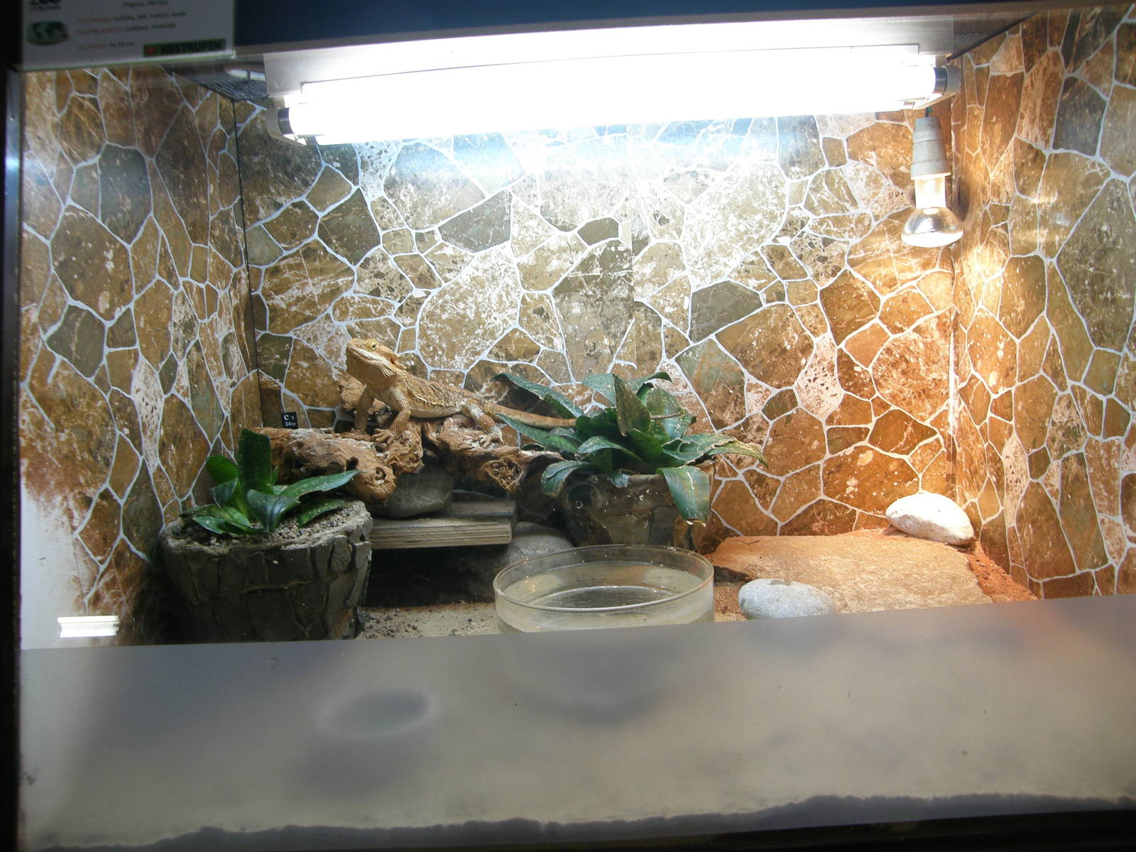 ZOO Ljubljana - Vivarium