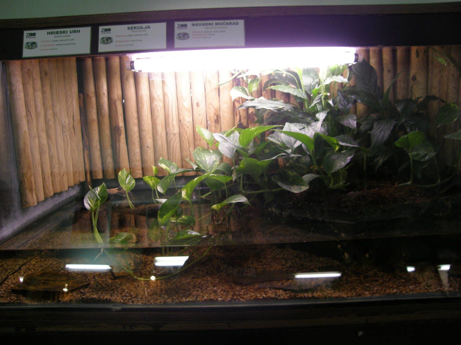 ZOO Ljubljana - Vivarium