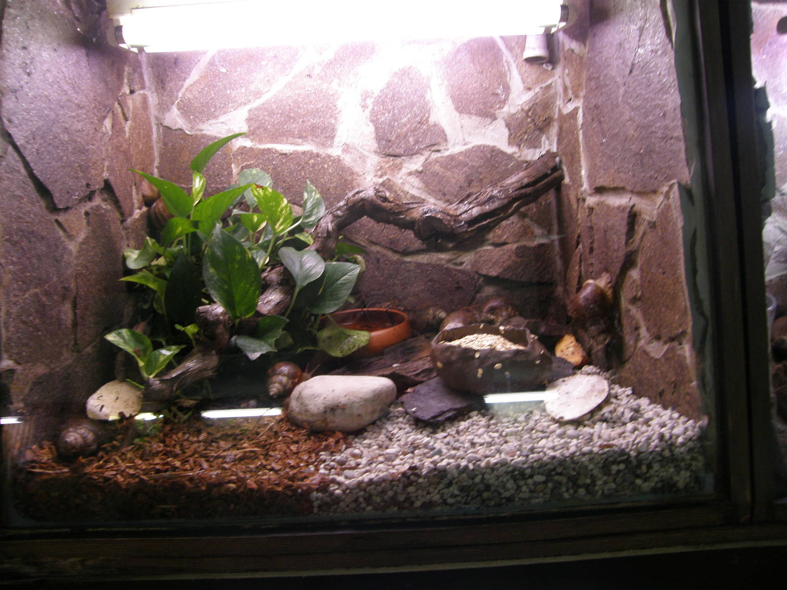 ZOO Ljubljana - Vivarium