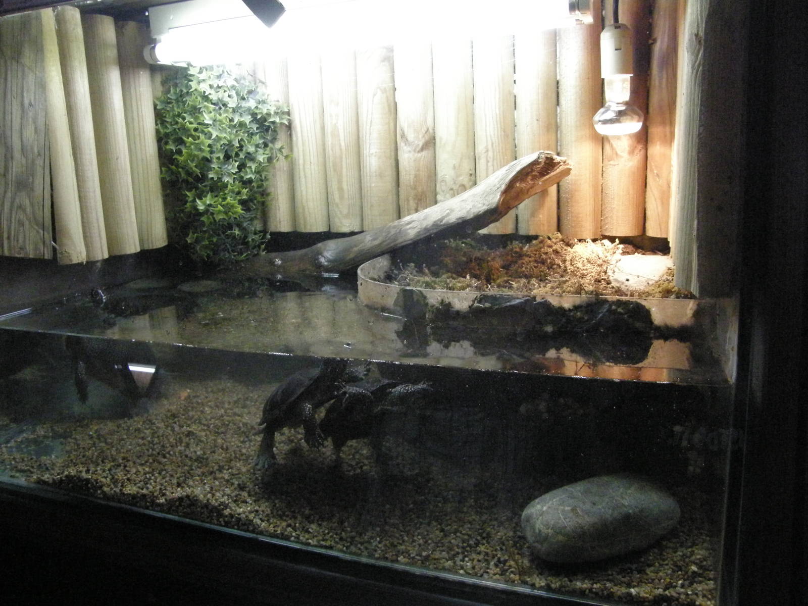 ZOO Ljubljana - Vivarium
