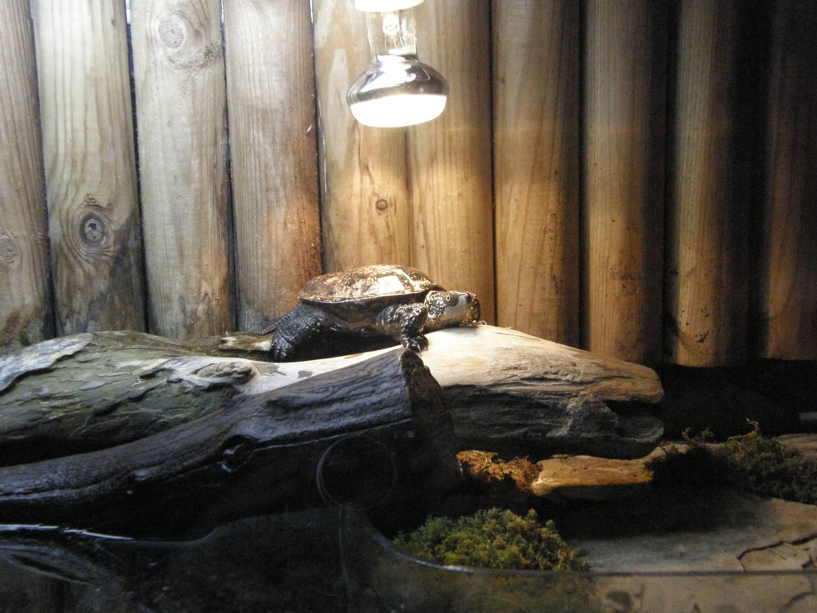 ZOO Ljubljana - Vivarium