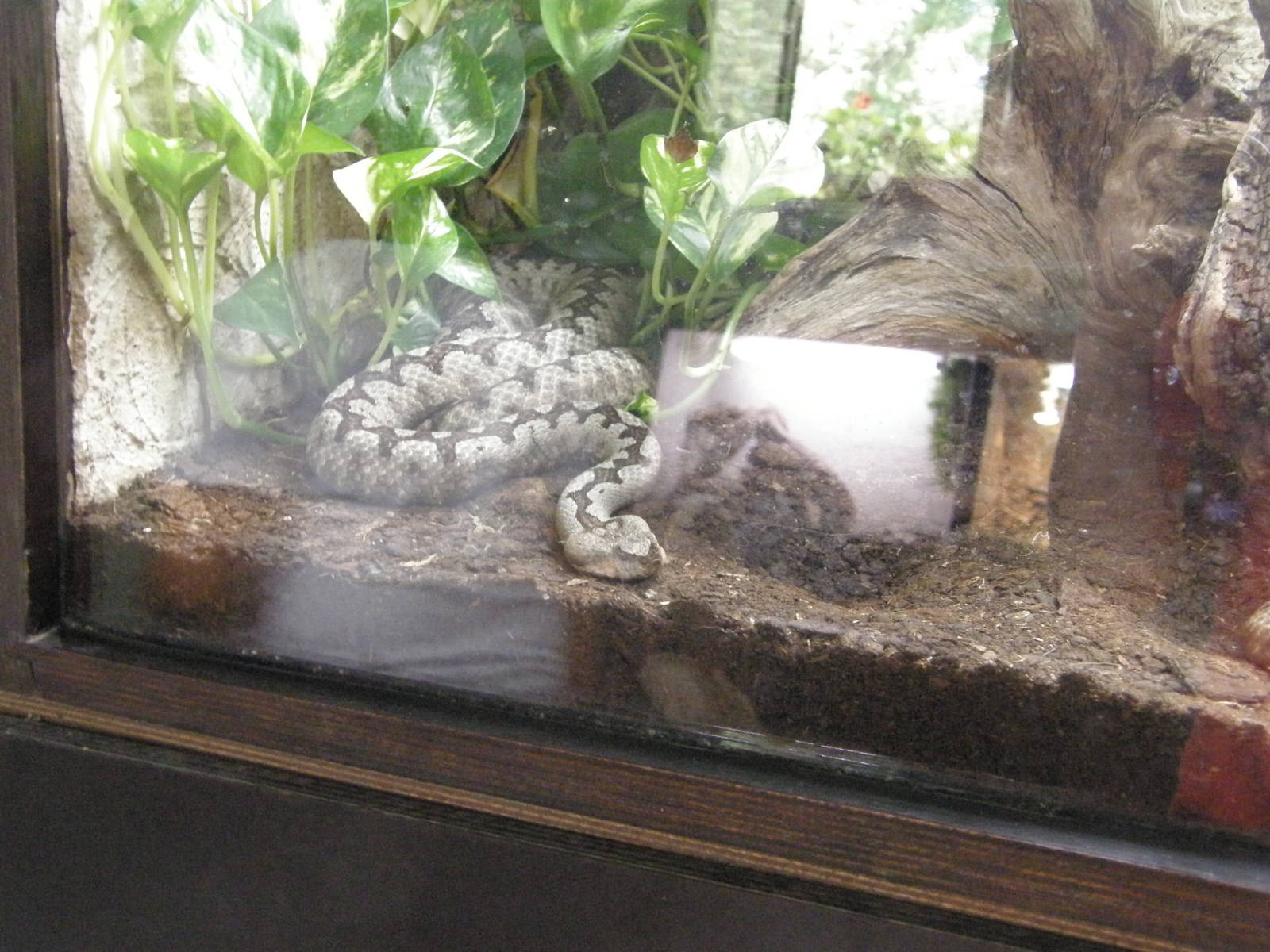 ZOO Ljubljana - Vivarium