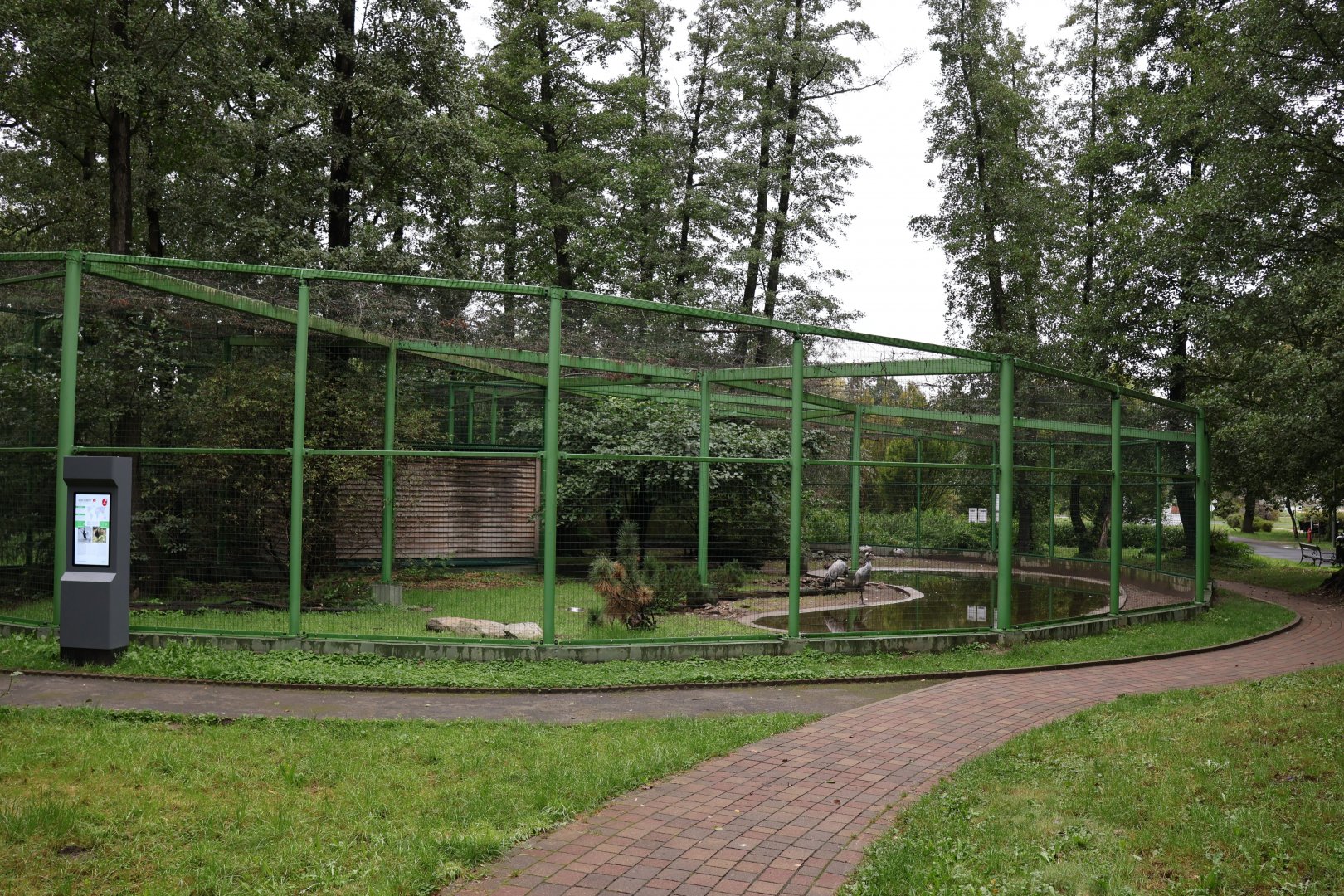 Zoo Lubin - Common Crane aviary