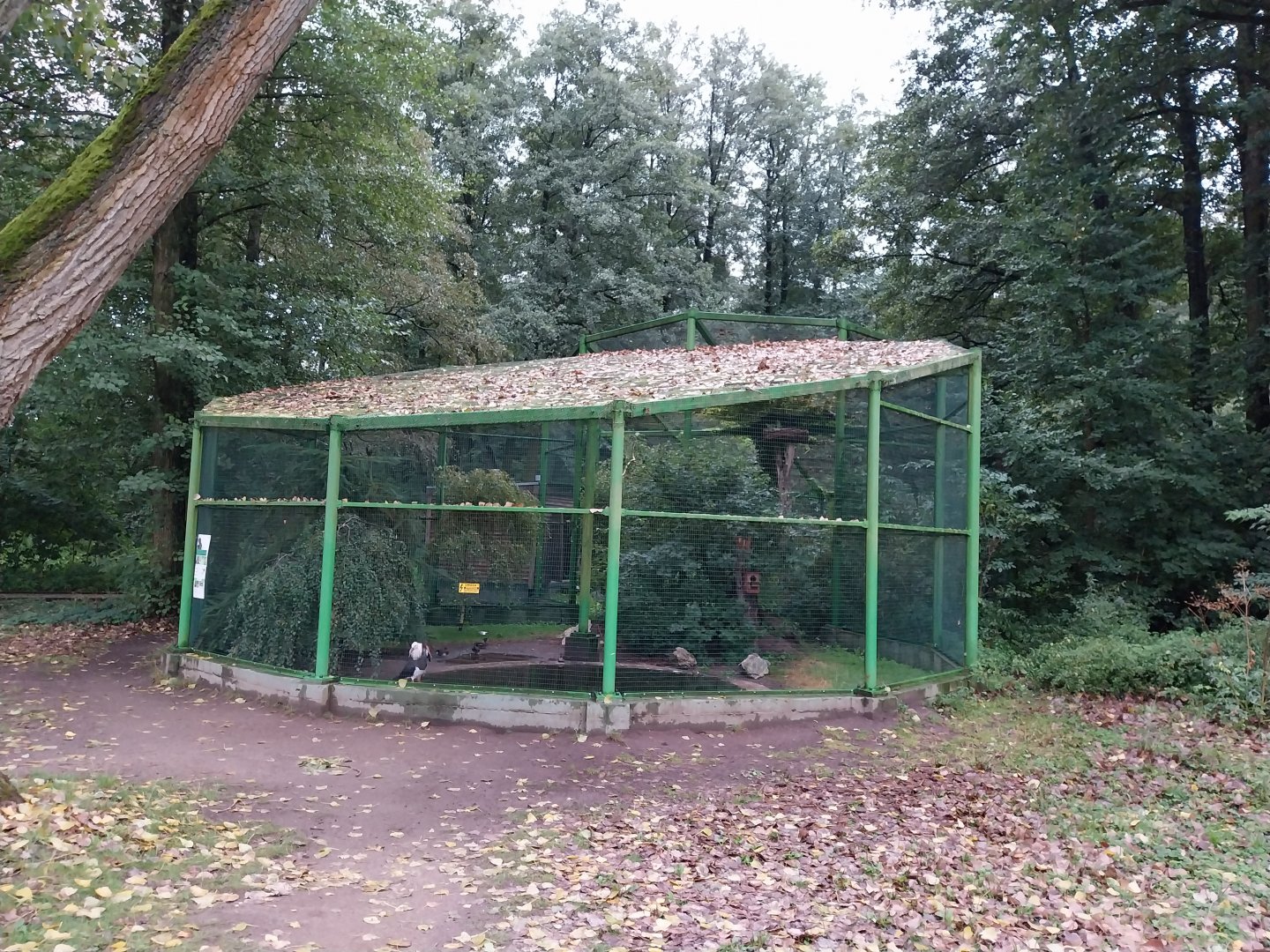 Zoo Lubin - Complex 13 (Storks)