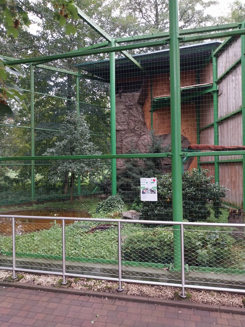 Zoo Lubin - Complex 14 (Eagles) - European golden eagle avairy