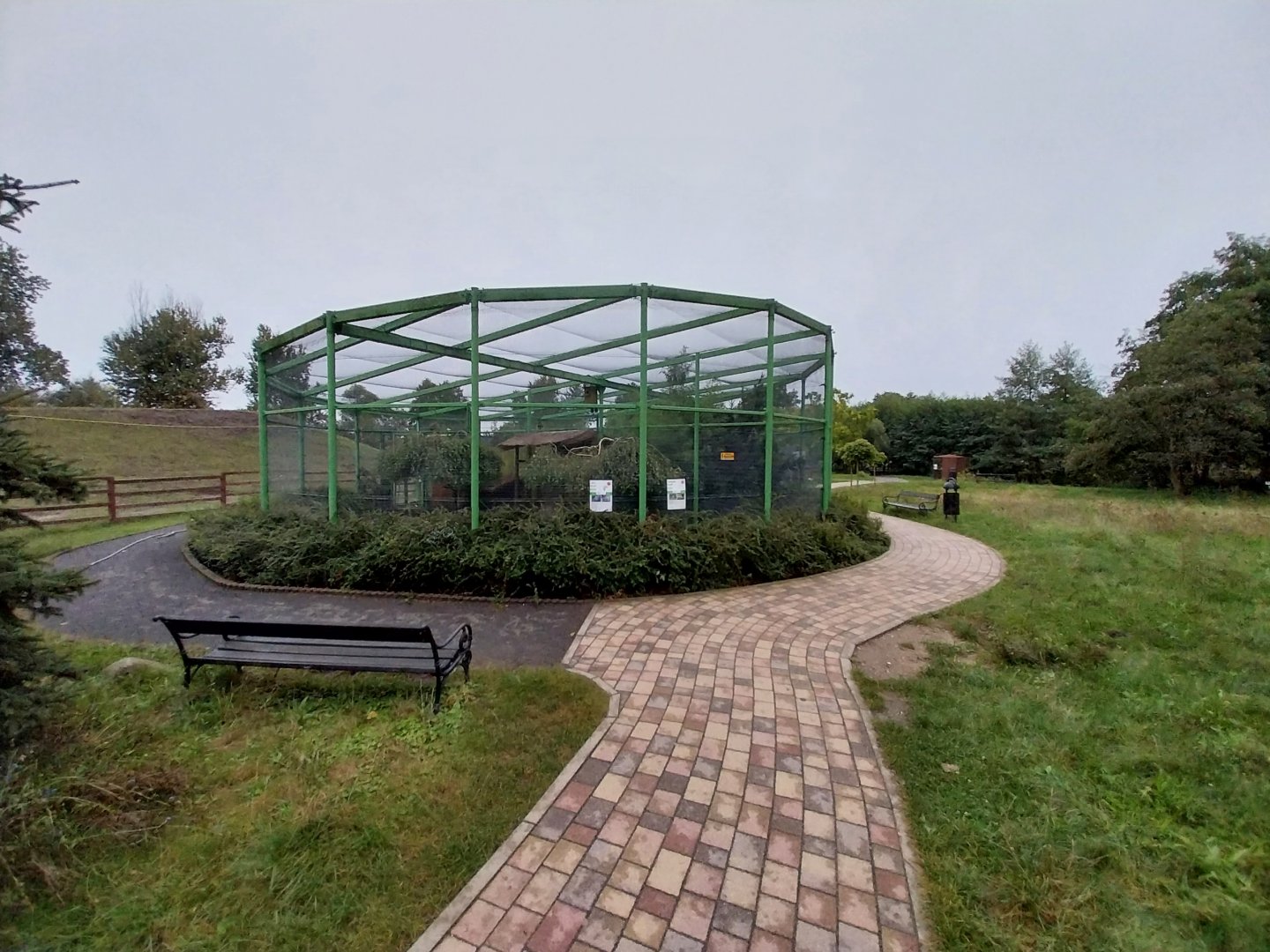 Zoo Lubin - Complex 15 (European and Eurasian birds)