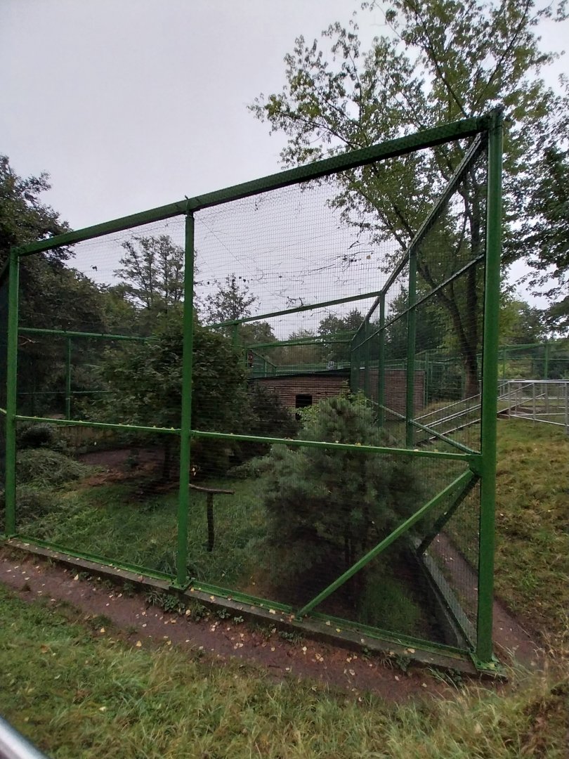 Zoo Lubin - Complex 31 - Himalayan monal and Little owl aviary