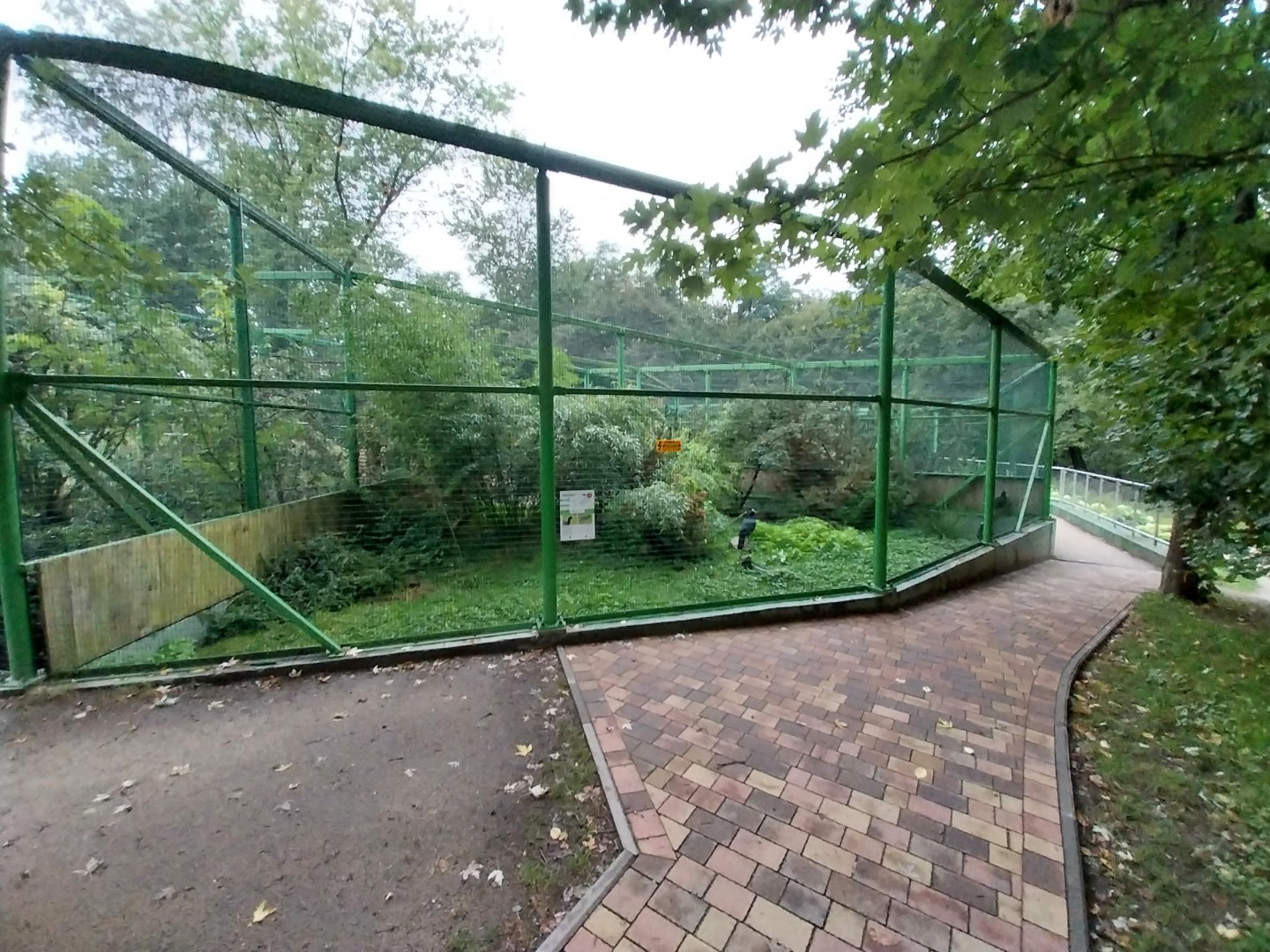 Zoo Lubin - Complex 31 - Northern Helmeted curassow aviary