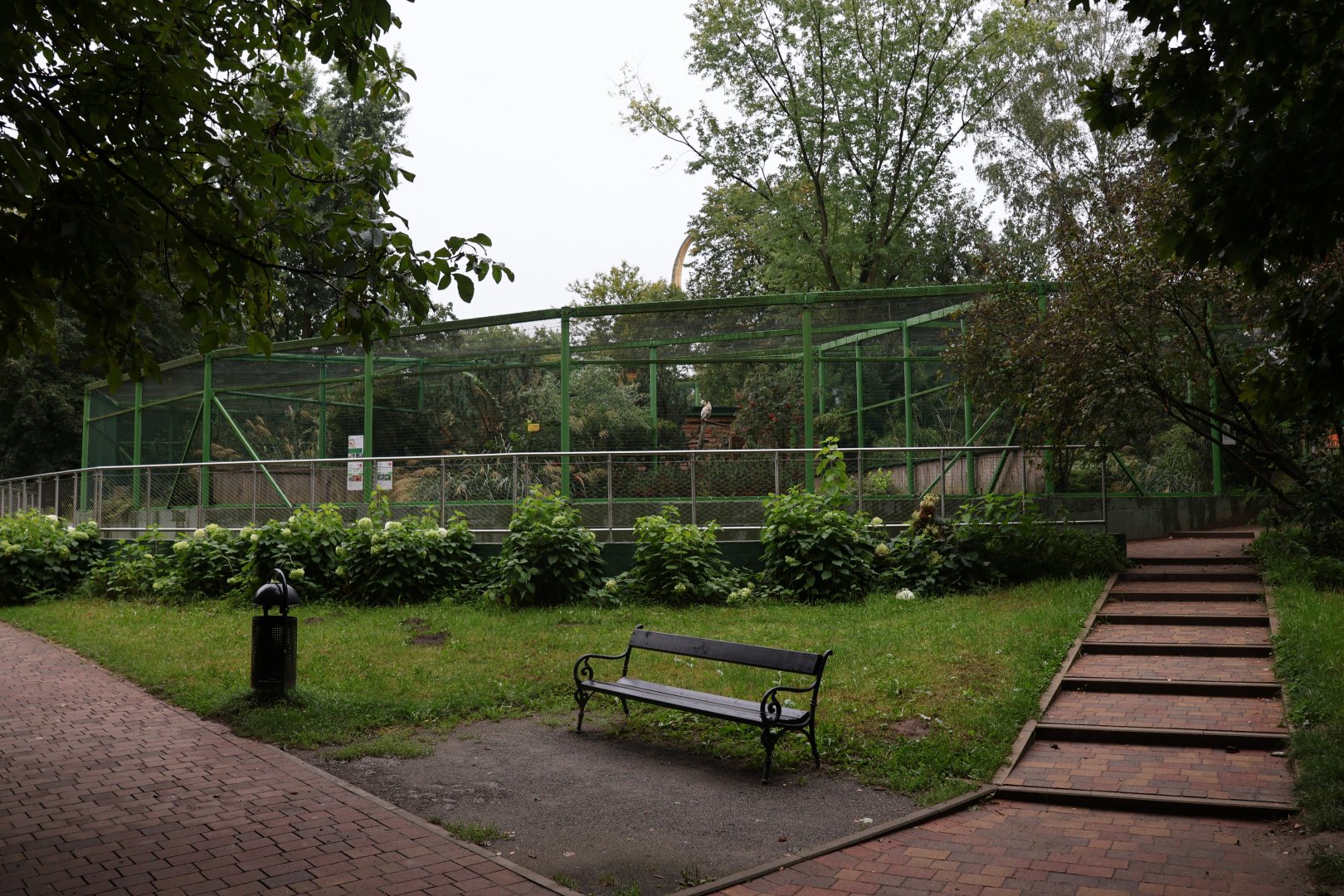 Zoo Lubin - Complex 31