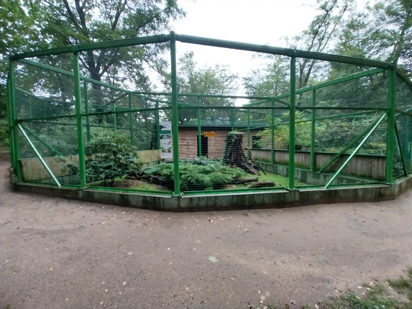 Zoo Lubin - Complex 34 (Lophura) - Common raven aviary