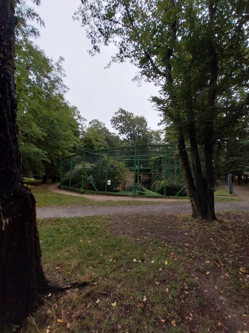 Zoo Lubin - Complex 34 (Lophura)