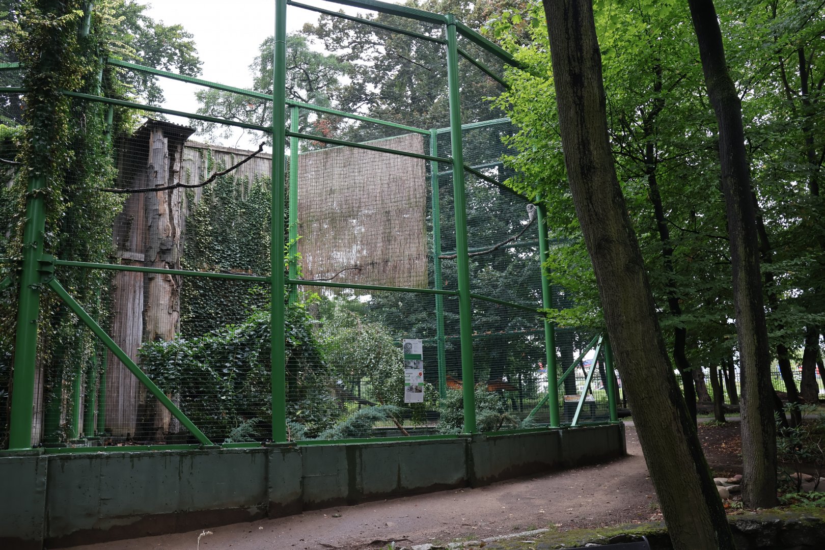 Zoo Lubin - Complex 35  (owls) - Ural owl aviary