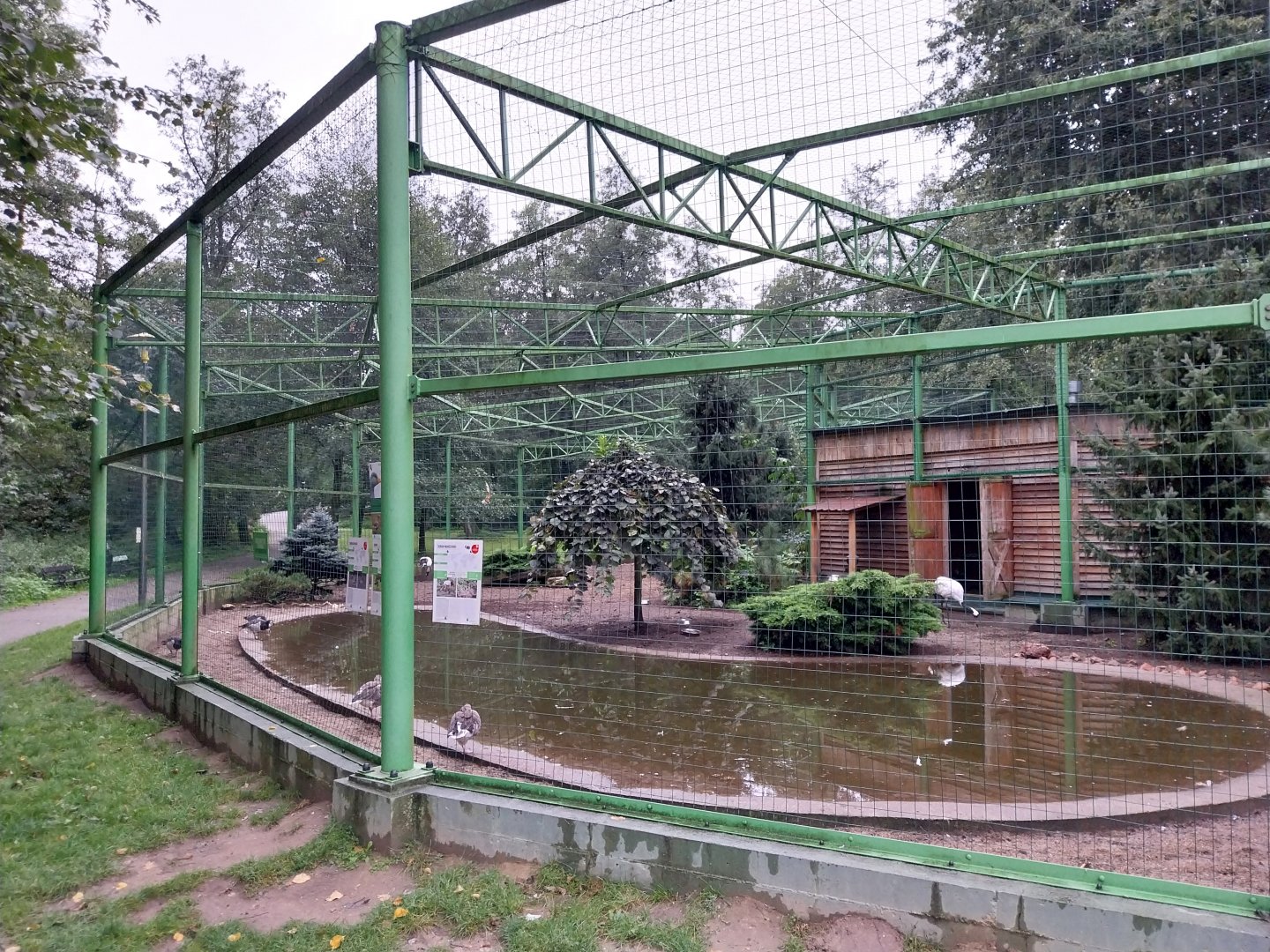 Zoo Lubin - Complex 6 - Manchurian crane aviary