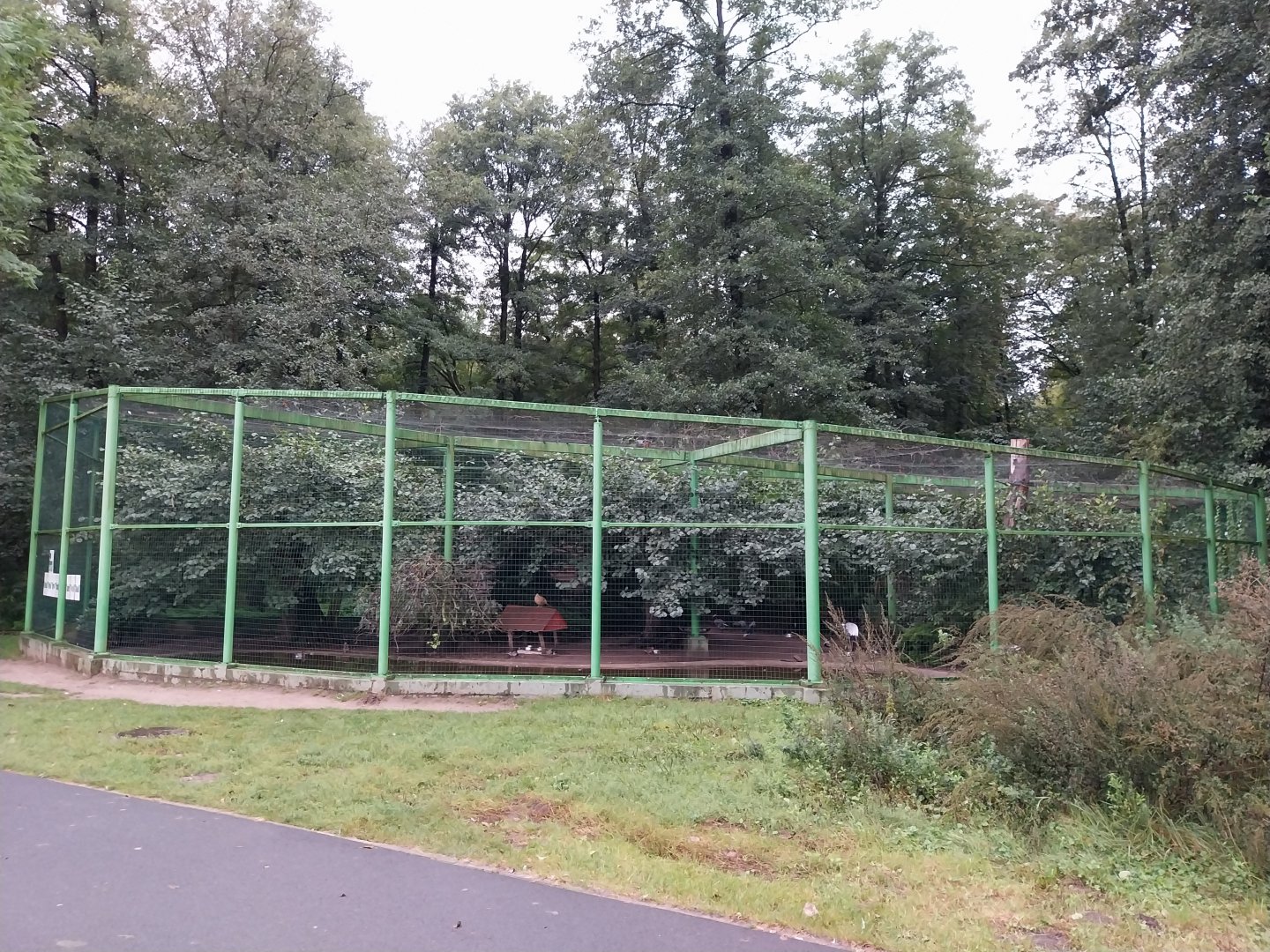 Zoo Lubin - Complex 7 - White-naped crane aviary