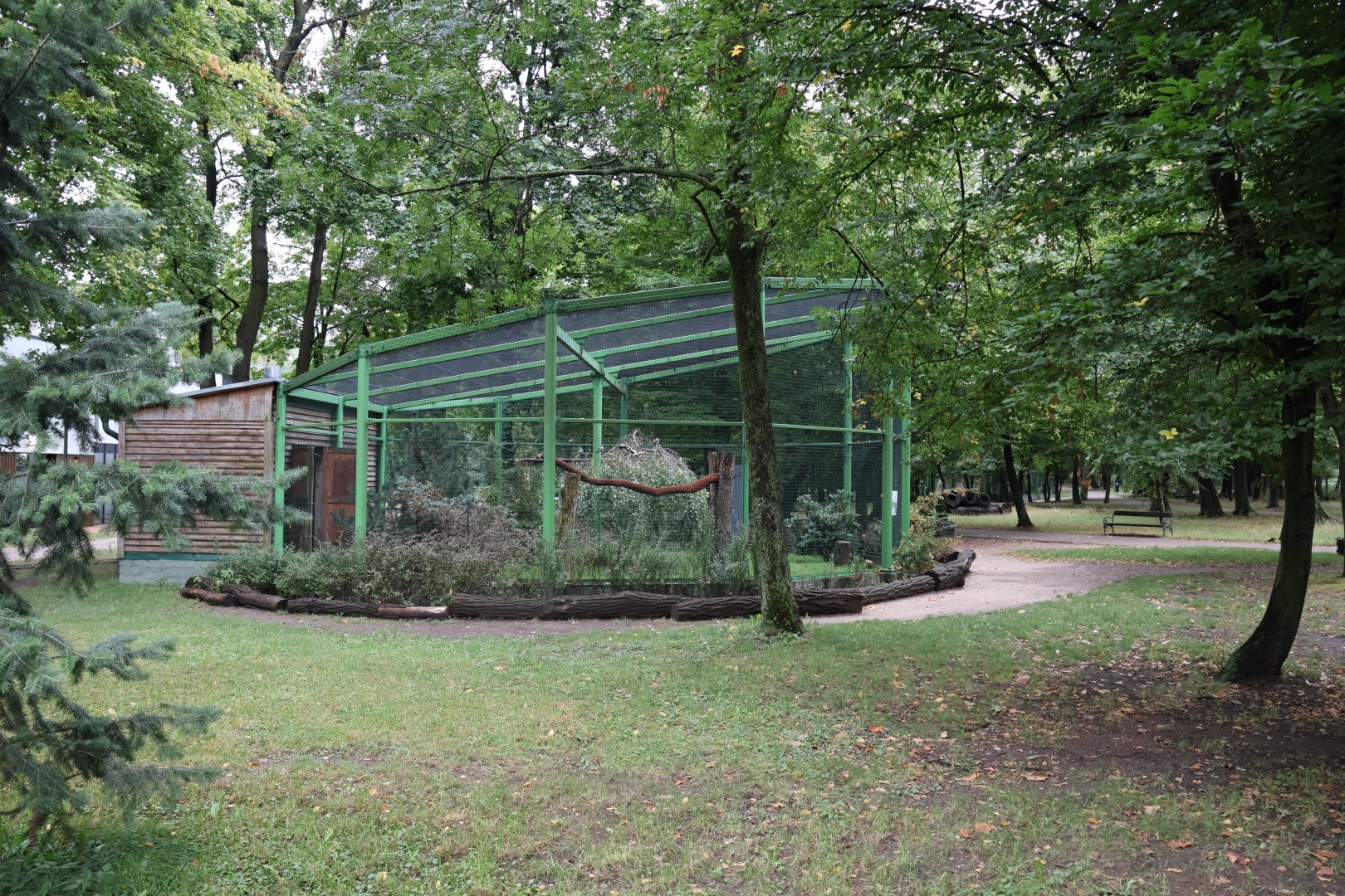 Zoo Lubin - Reeve's pheasant aviary