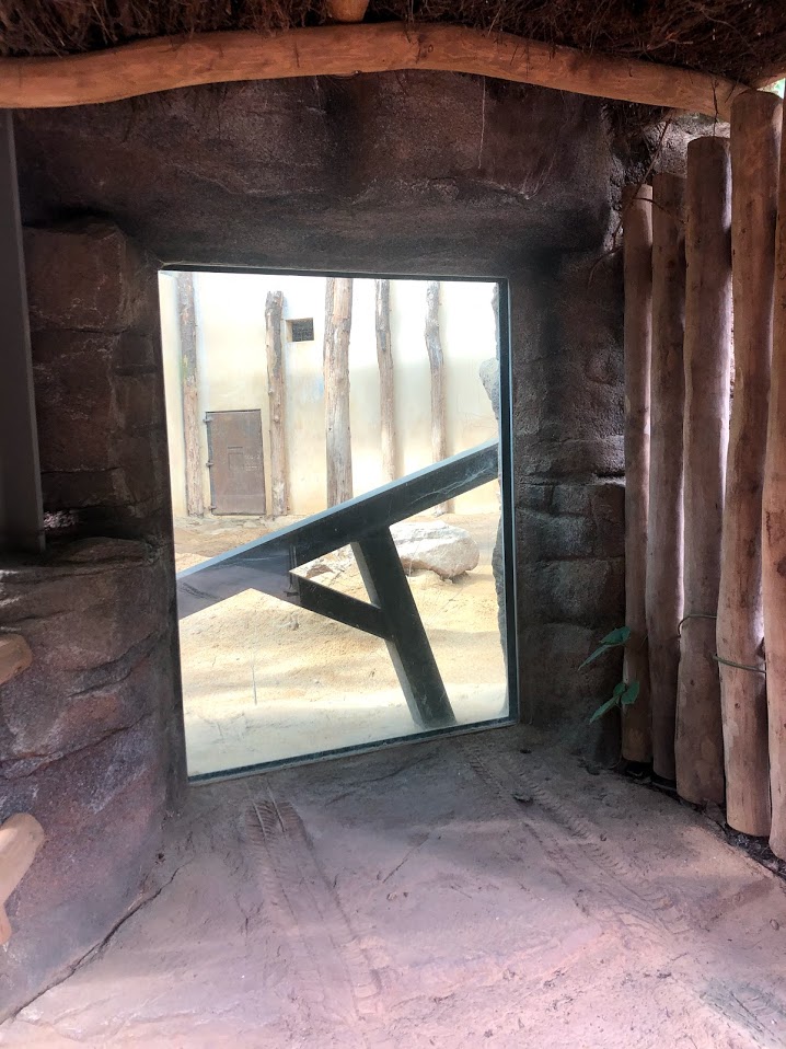 Zoo Magdeburg- glass viewing toward indoor elephant enclosure- 2020