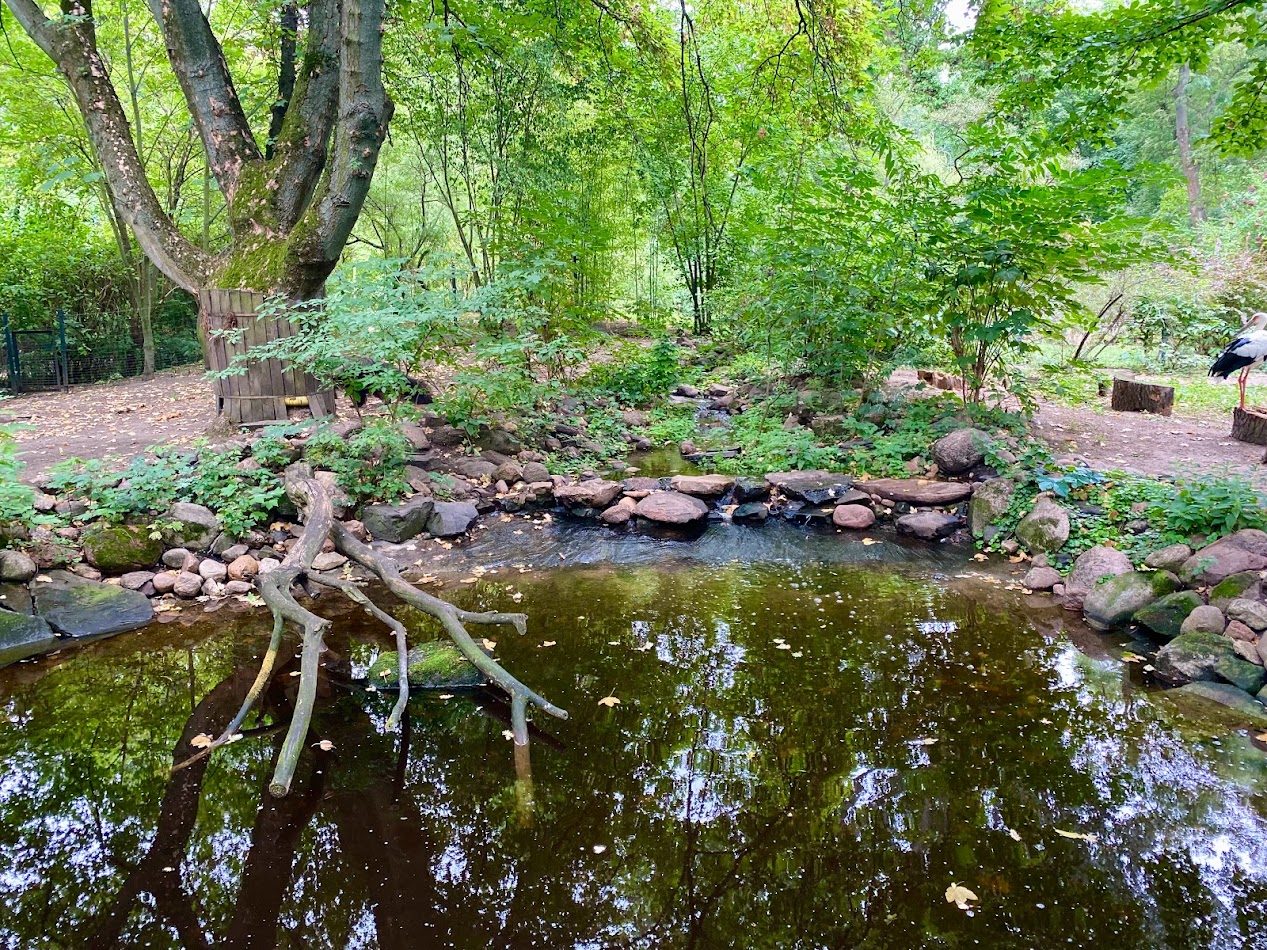 Zoo Magdeburg- great anteater enclosure- 2022