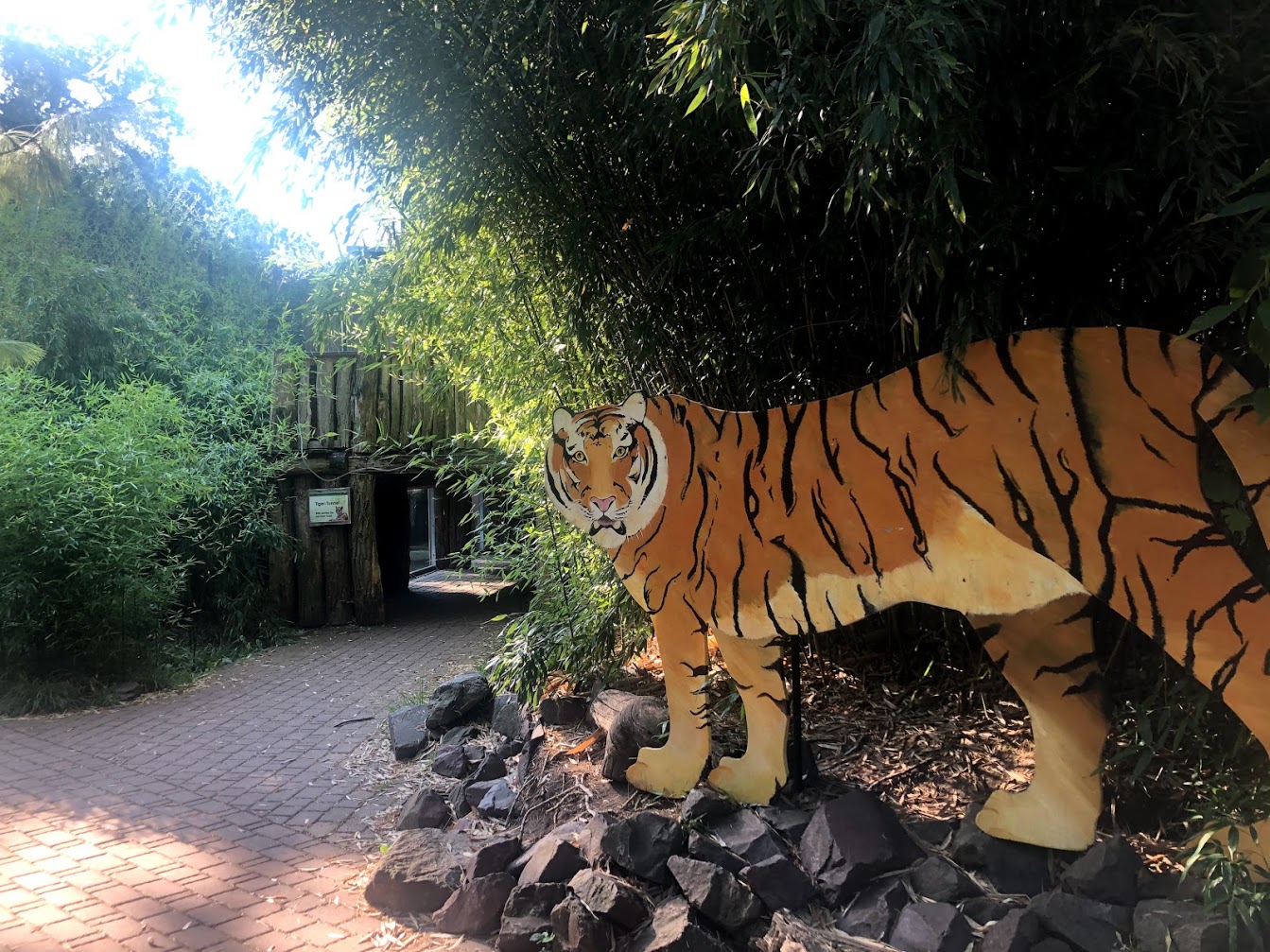 Zoo Magdeburg- path towards tiger enclosure- 2020