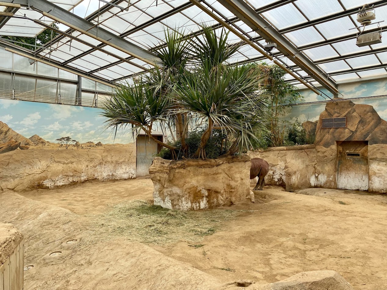 Zoo Magdeburg- rhino indoor enclosure- 2022