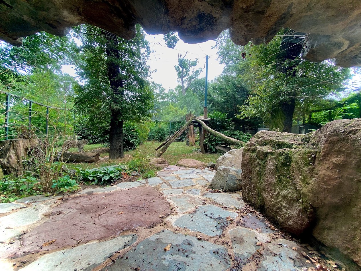 Zoo Magdeburg- snow leopard enclosure- 2022