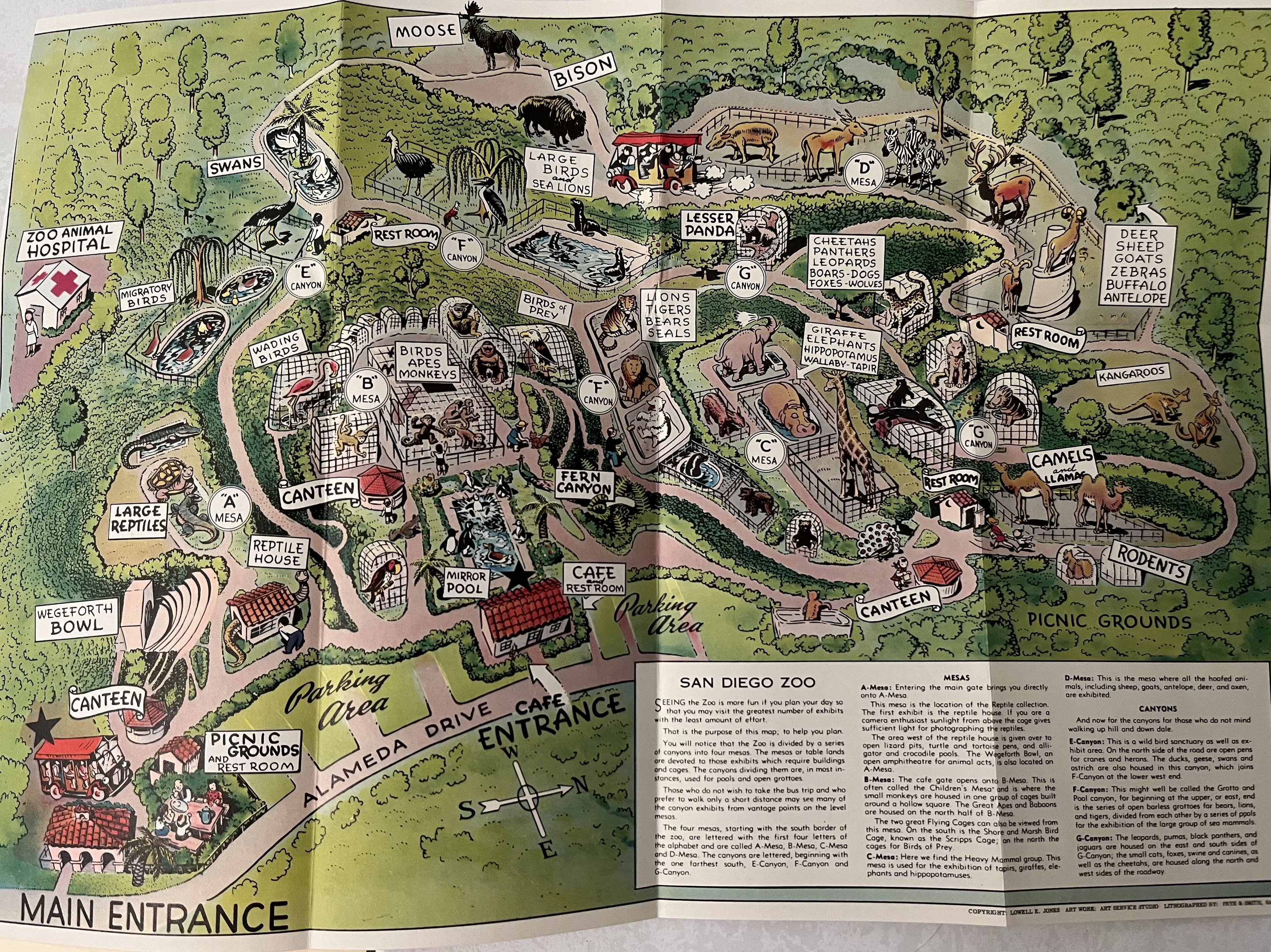 Zoo Map - 1947