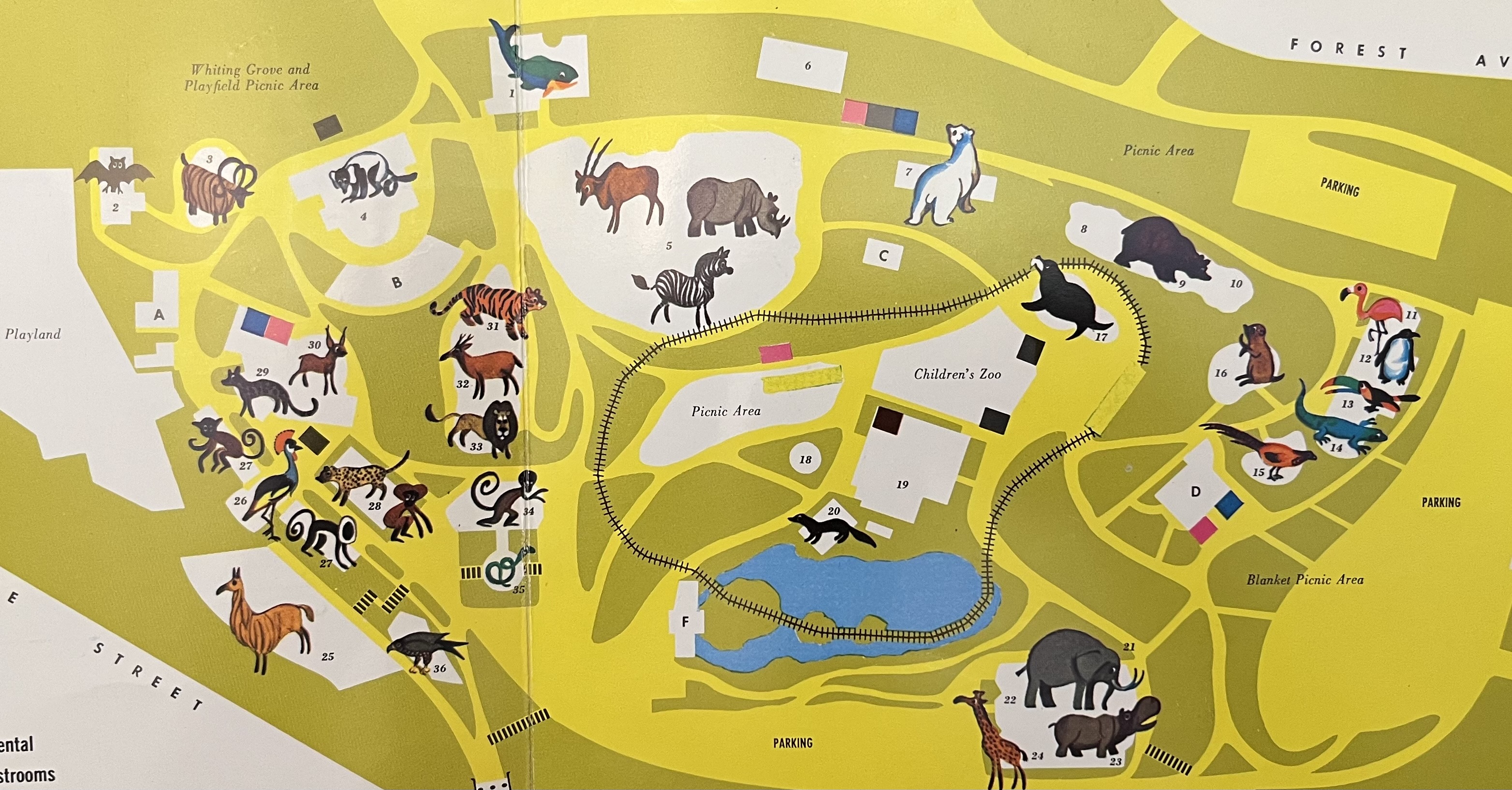 Zoo Map - 1969