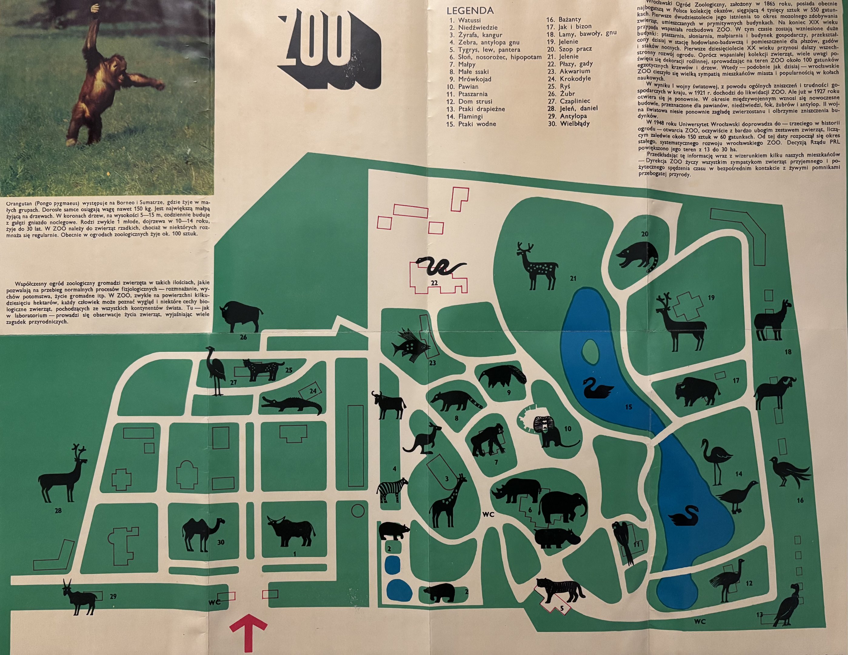 Zoo Map - 1970?